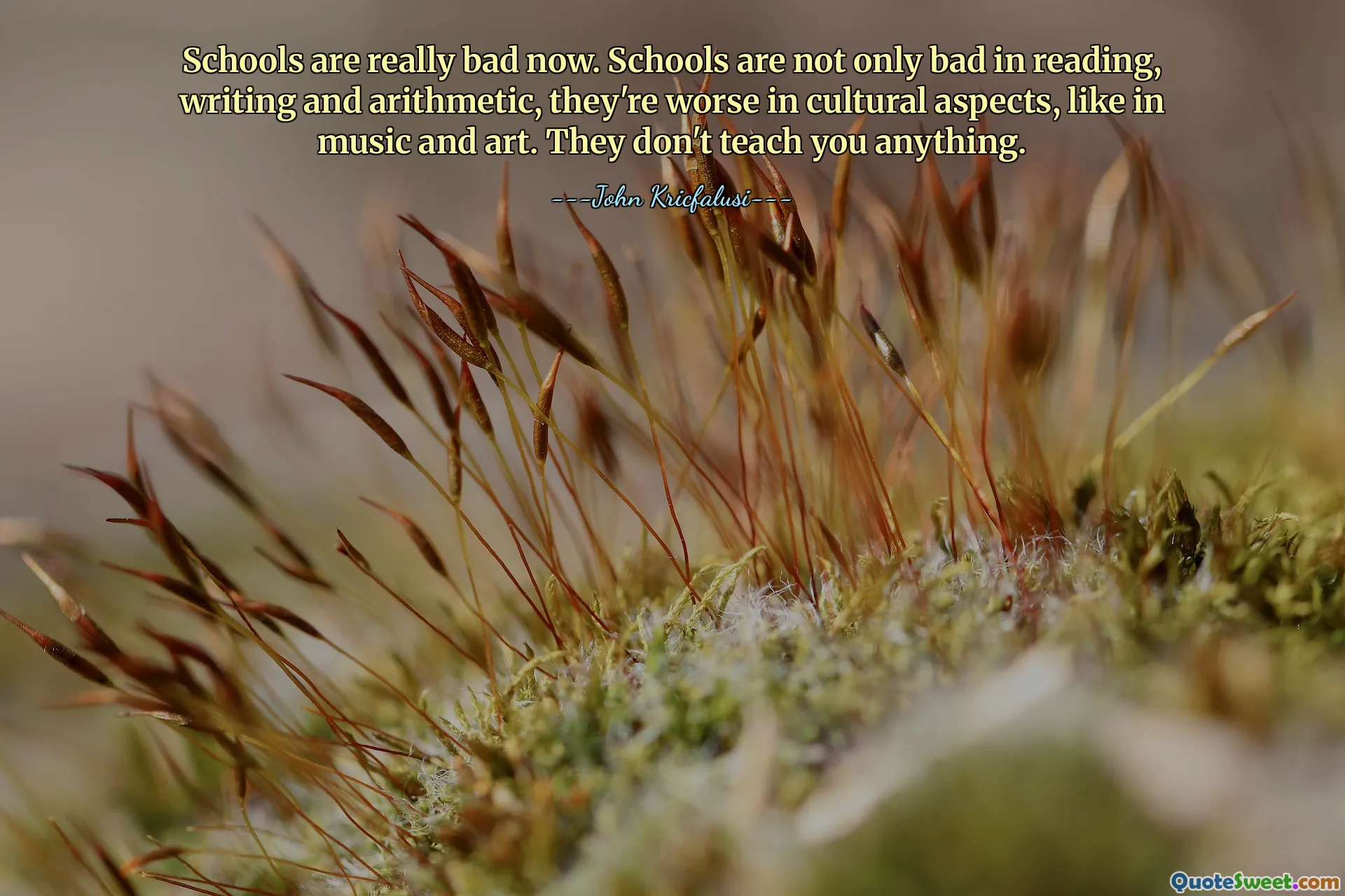 Schools are really bad now. Schools are not only bad in reading, writing and arithmetic, they're worse in cultural aspects, like in music and art. They don't teach you anything.
