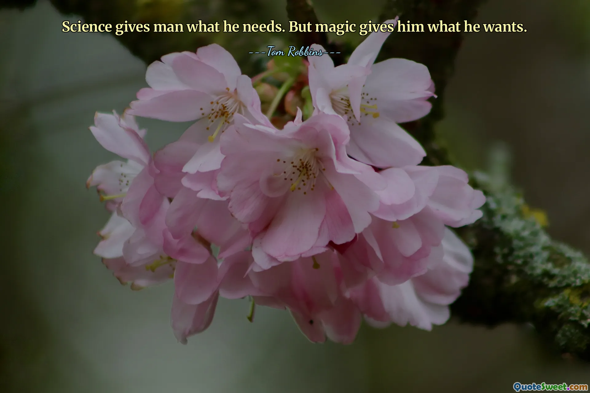 Science gives man what he needs. But magic gives him what he wants.