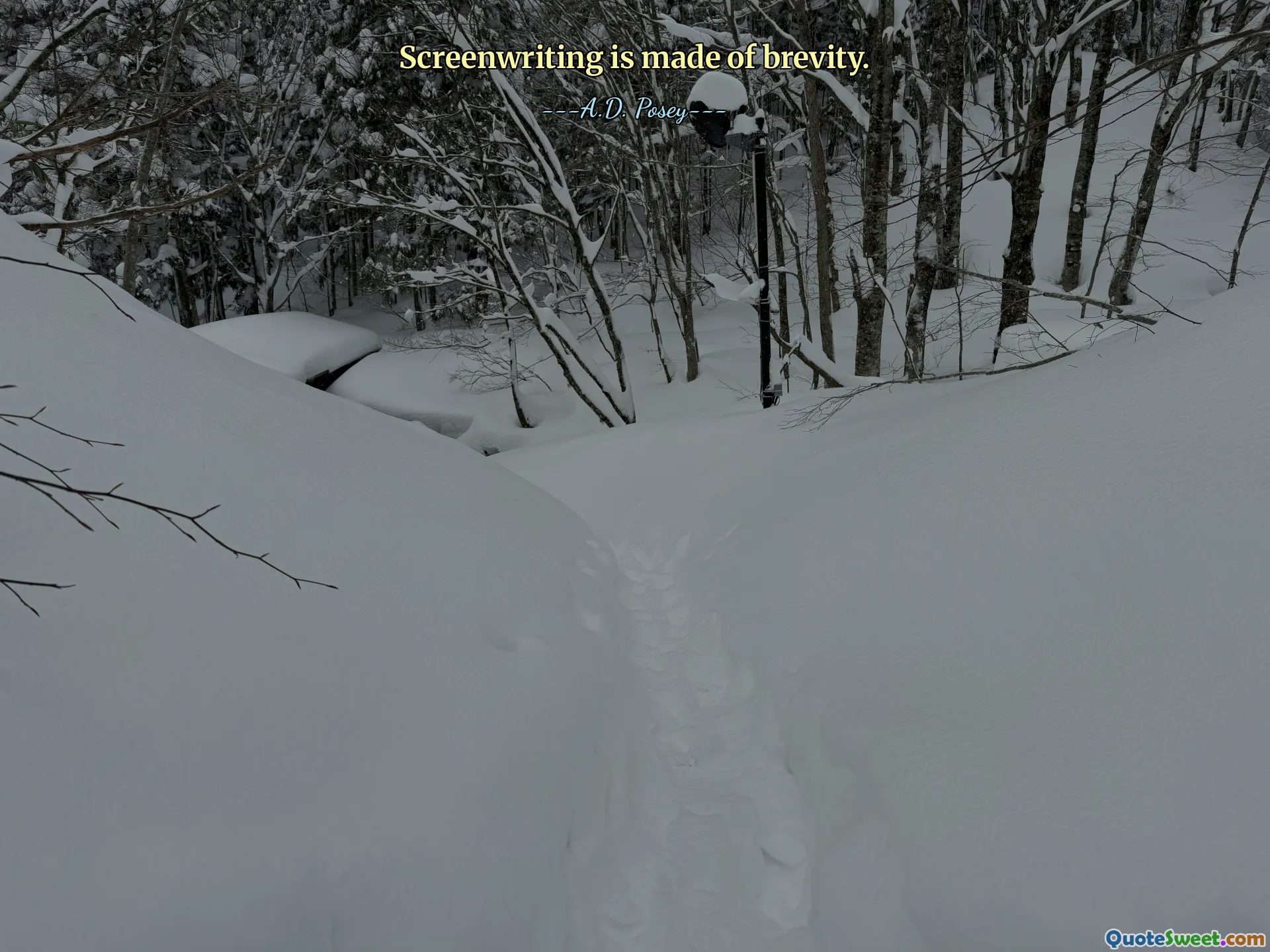 Screenwriting is made of brevity.