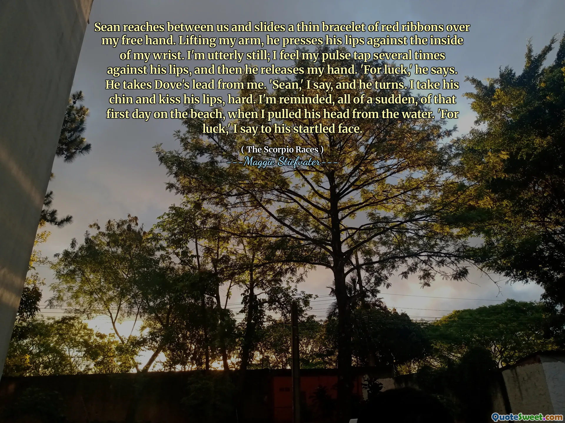 Sean reaches between us and slides a thin bracelet of red ribbons over my free hand. Lifting my arm, he presses his lips against the inside of my wrist. I'm utterly still; I feel my pulse tap several times against his lips, and then he releases my hand. 'For luck,' he says. He takes Dove's lead from me. 'Sean,' I say, and he turns. I take his chin and kiss his lips, hard. I'm reminded, all of a sudden, of that first day on the beach, when I pulled his head from the water. 'For luck,' I say to his startled face.