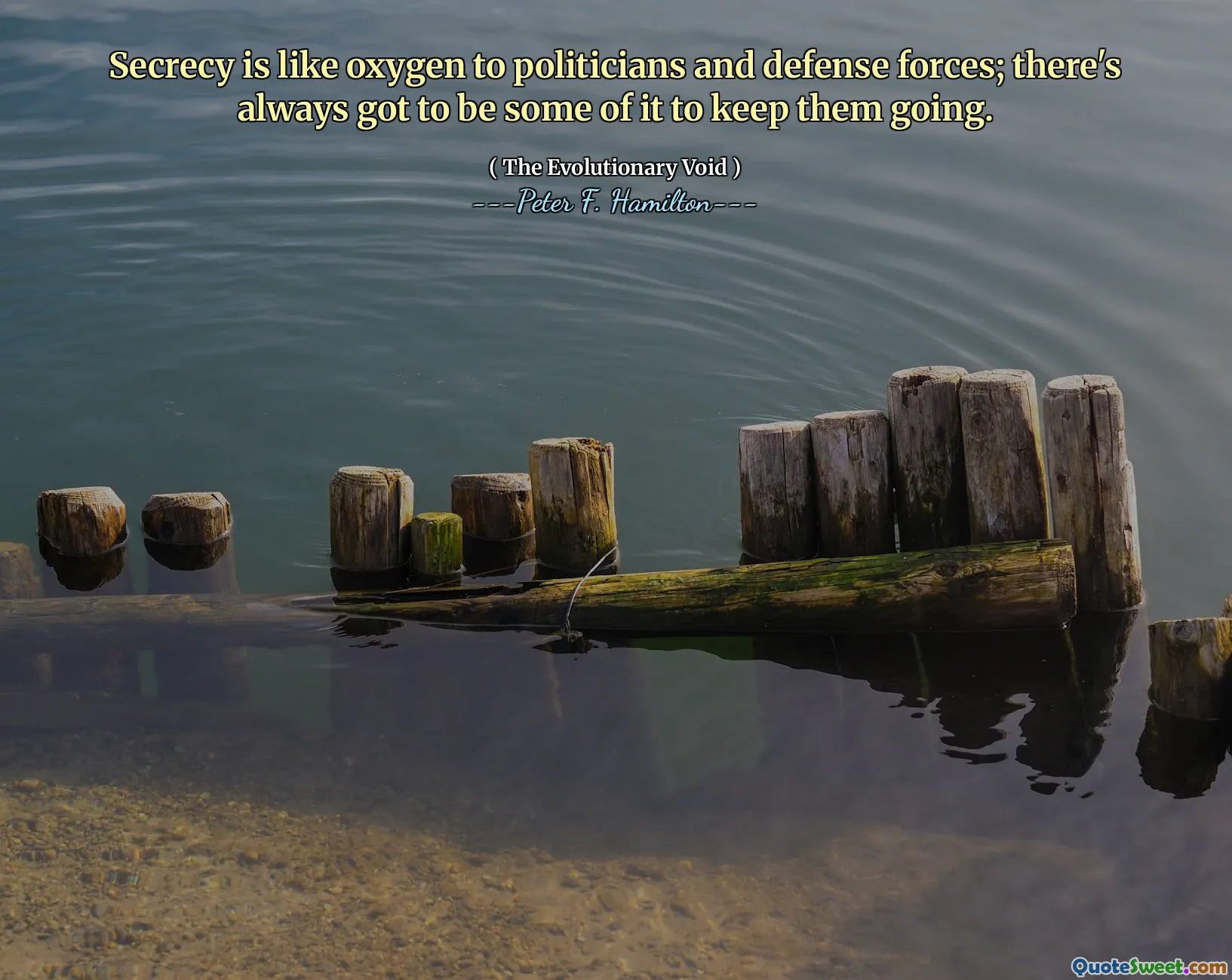 Secrecy is like oxygen to politicians and defense forces; there's always got to be some of it to keep them going.