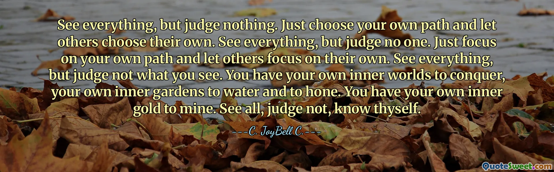 See everything, but judge nothing. Just choose your own path and let others choose their own. See everything, but judge no one. Just focus on your own path and let others focus on their own. See everything, but judge not what you see. You have your own inner worlds to conquer, your own inner gardens to water and to hone. You have your own inner gold to mine. See all, judge not, know thyself.