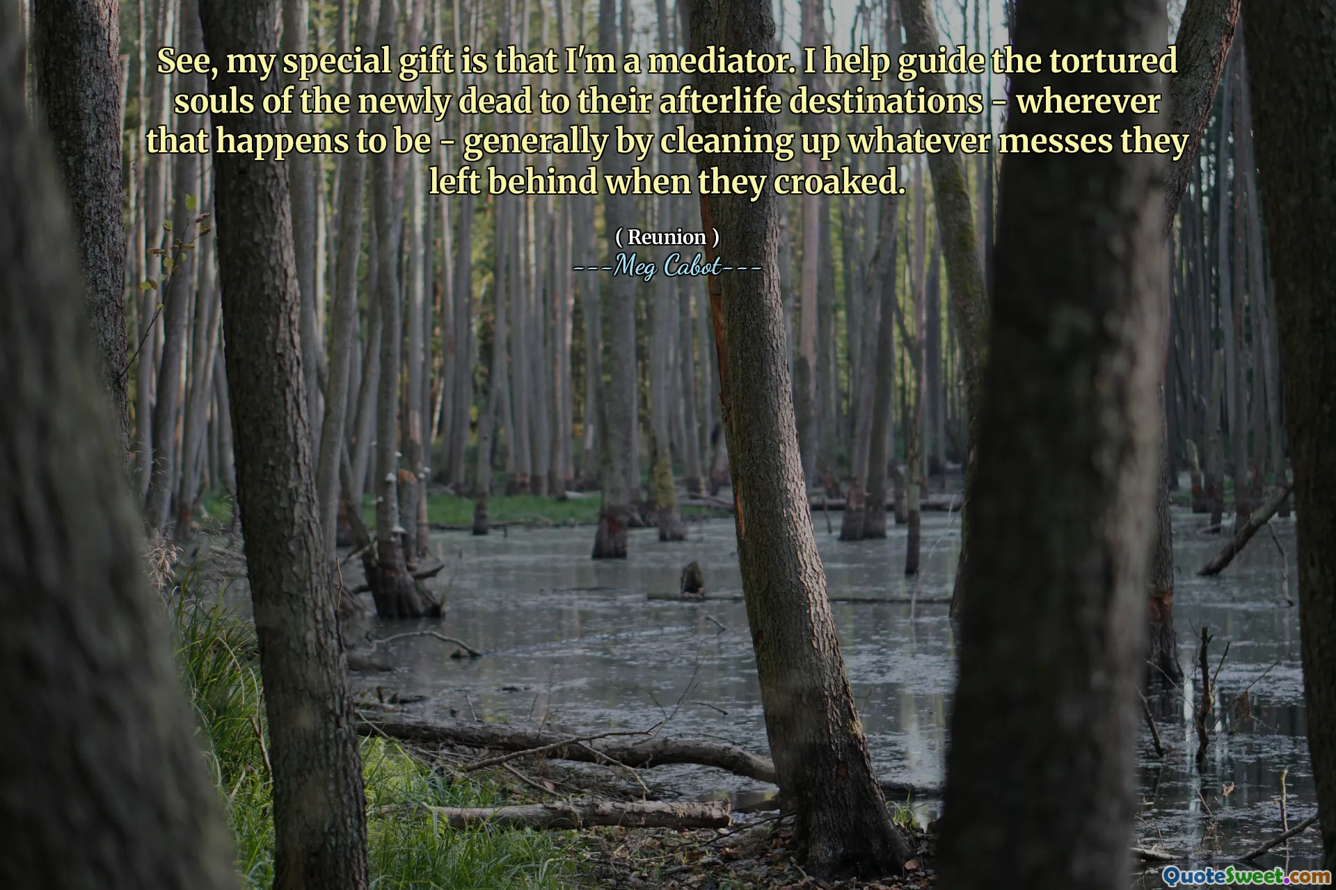 See, my special gift is that I'm a mediator. I help guide the tortured souls of the newly dead to their afterlife destinations - wherever that happens to be - generally by cleaning up whatever messes they left behind when they croaked.