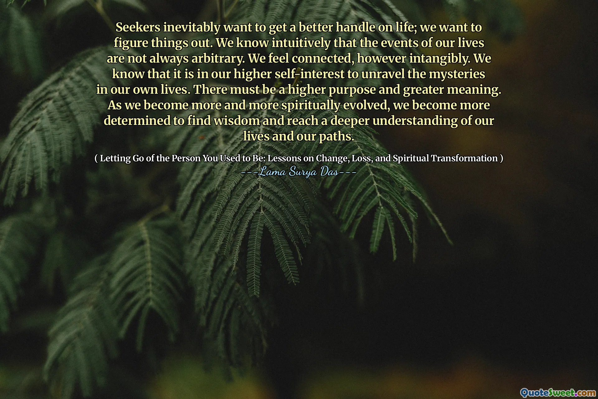 Les chercheurs veulent inévitablement comprendre la vie; Nous voulons comprendre les choses. Nous savons intuitivement que les événements de nos vies ne sont pas toujours arbitraires. Nous nous sentons connectés, aussi intangibles. Nous savons que c'est dans notre intérêt personnel supérieur de démêler les mystères de notre propre vie. Il doit y avoir un objectif plus élevé et un sens plus élevé. À mesure que nous évoluons de plus en plus spirituellement, nous devenons plus déterminés à trouver la sagesse et à atteindre une compréhension plus profonde de nos vies et de nos chemins.