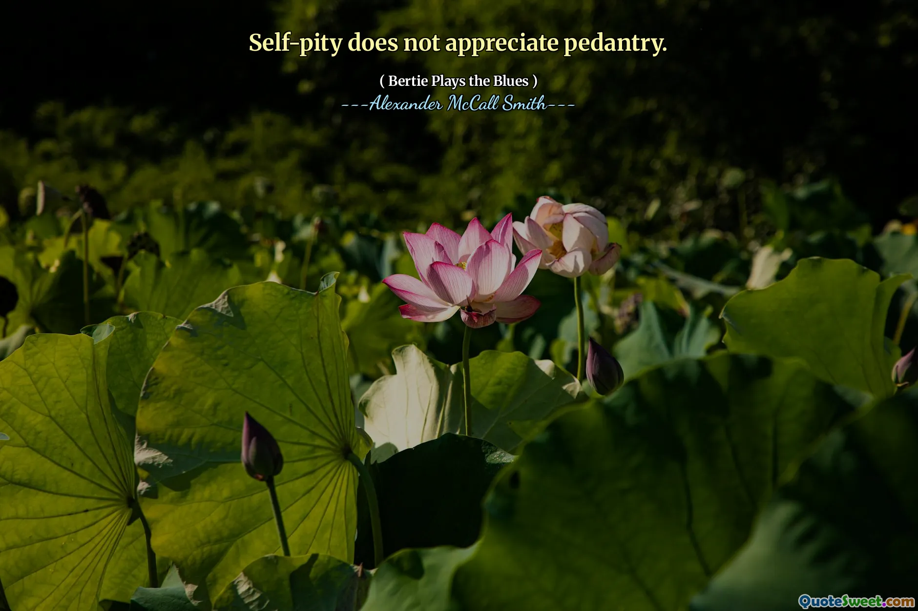 Self-pity does not appreciate pedantry.