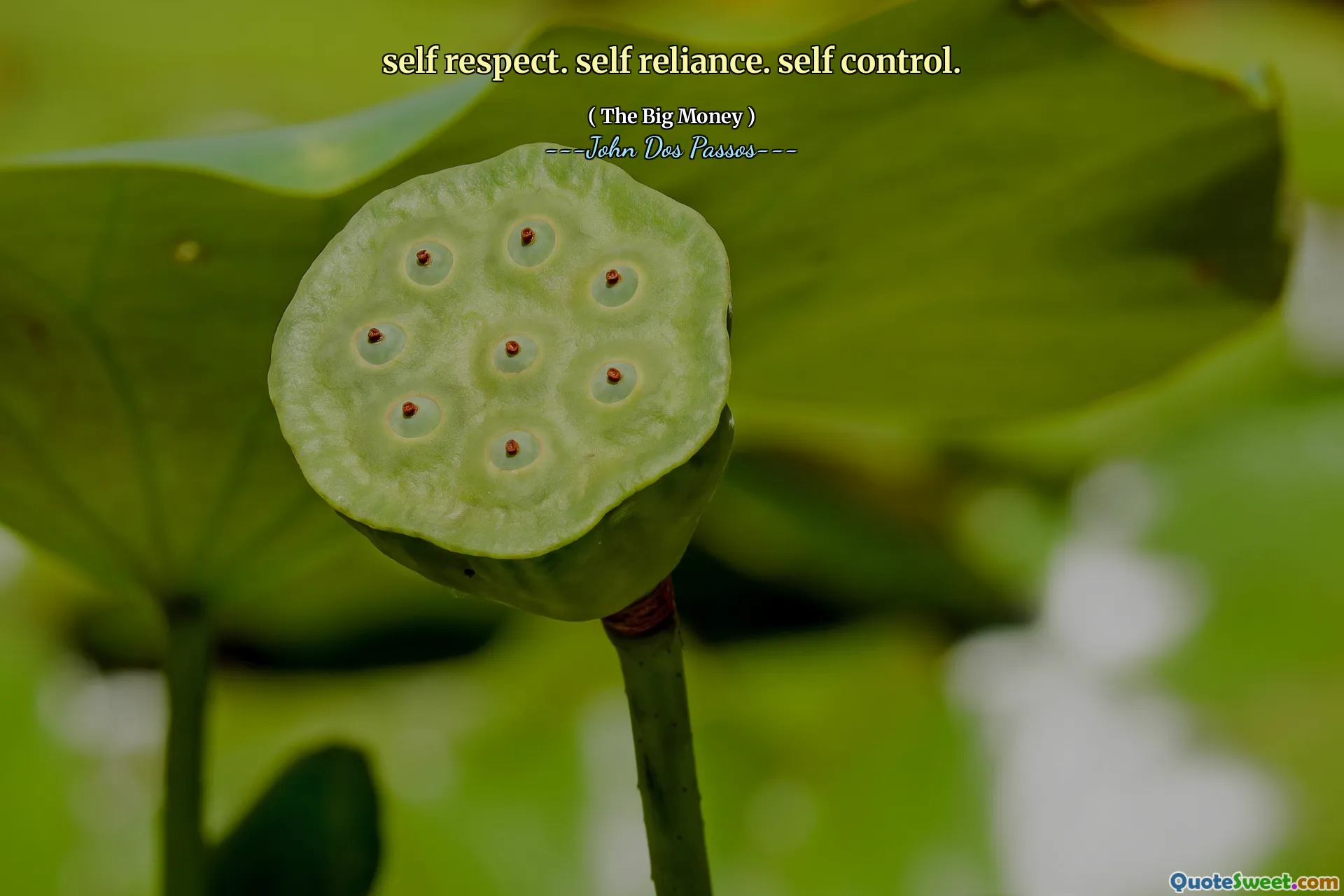 kendine saygı. kendine güven. Oto kontrol.