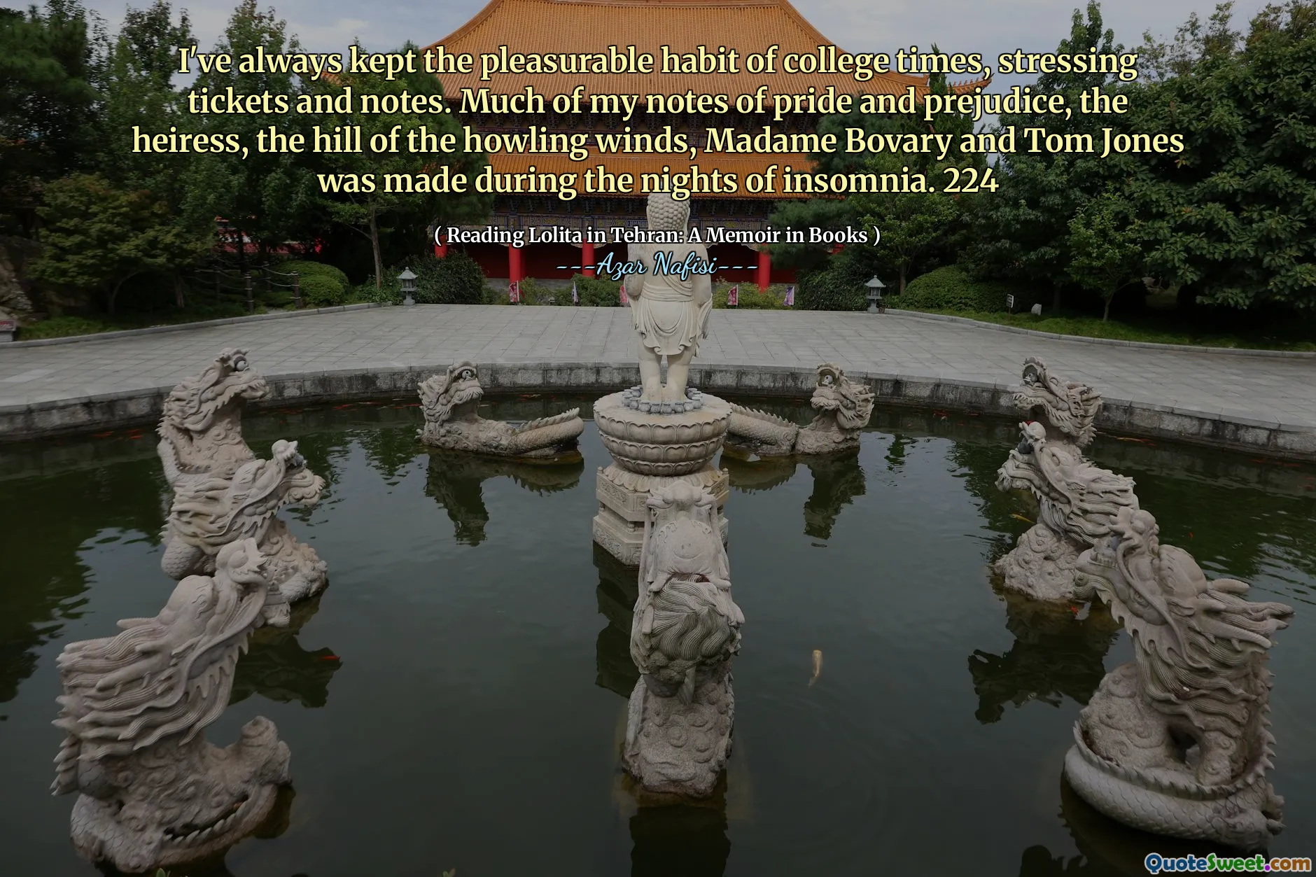 我一直保持着大学时报的愉悦习惯，强调门票和笔记。我的大部分关于骄傲和偏见的笔记，女继承人，how叫的山丘，bovary夫人和汤姆·琼斯（Tom Jones）是在失眠的夜晚中做出的。 224