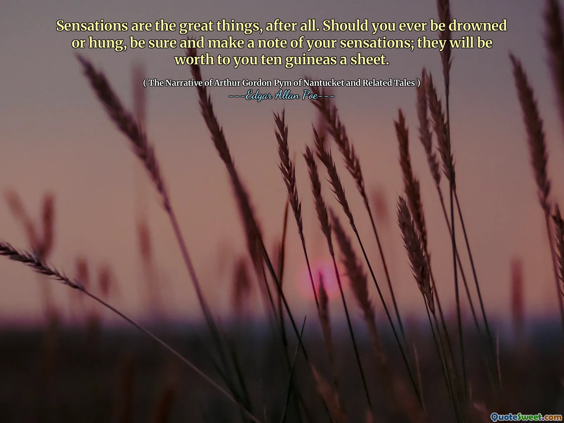 Sensations are the great things, after all. Should you ever be drowned or hung, be sure and make a note of your sensations; they will be worth to you ten guineas a sheet.