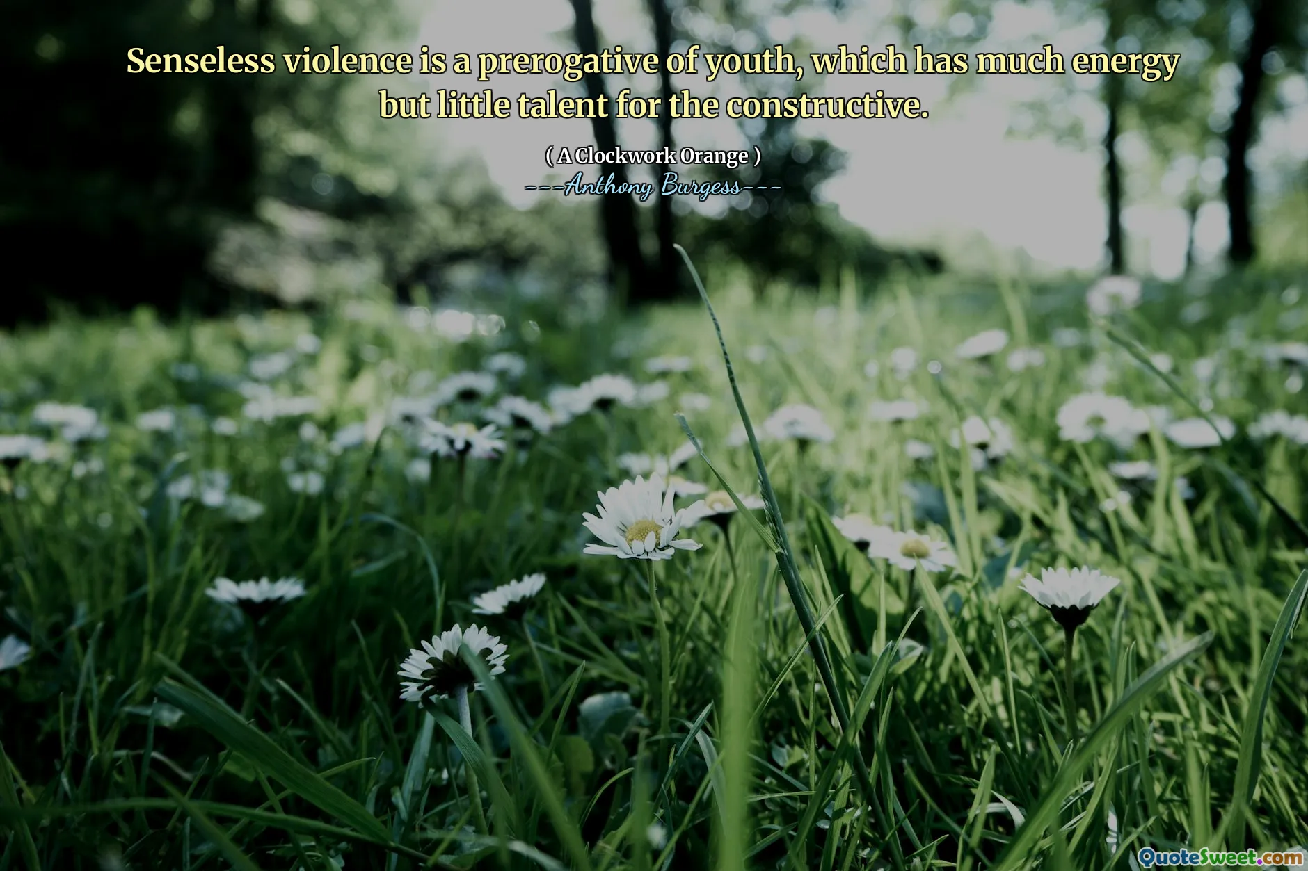 Senseless violence is a prerogative of youth, which has much energy but little talent for the constructive.