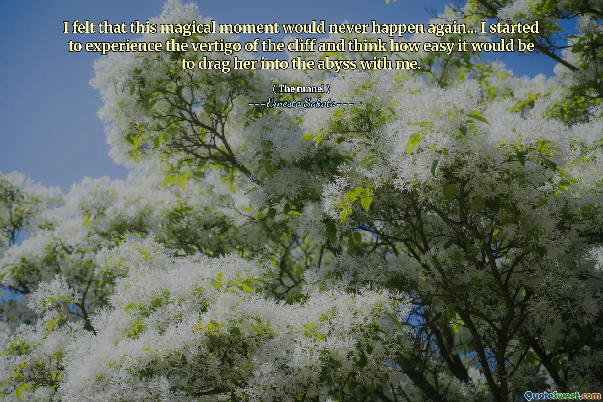 I felt that this magical moment would never happen again... I started to experience the vertigo of the cliff and think how easy it would be to drag her into the abyss with me.