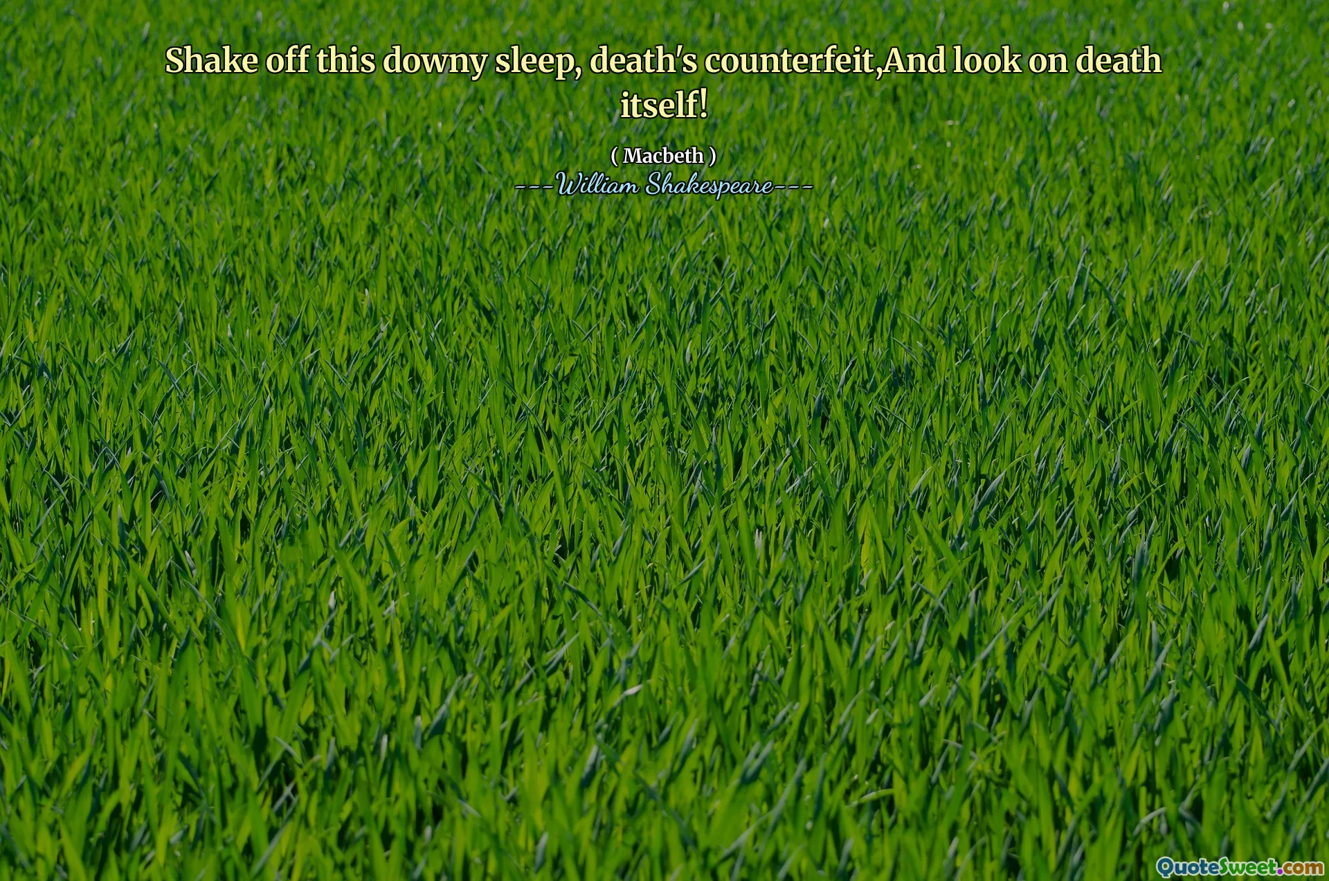 Shake off this downy sleep, death's counterfeit,And look on death itself!