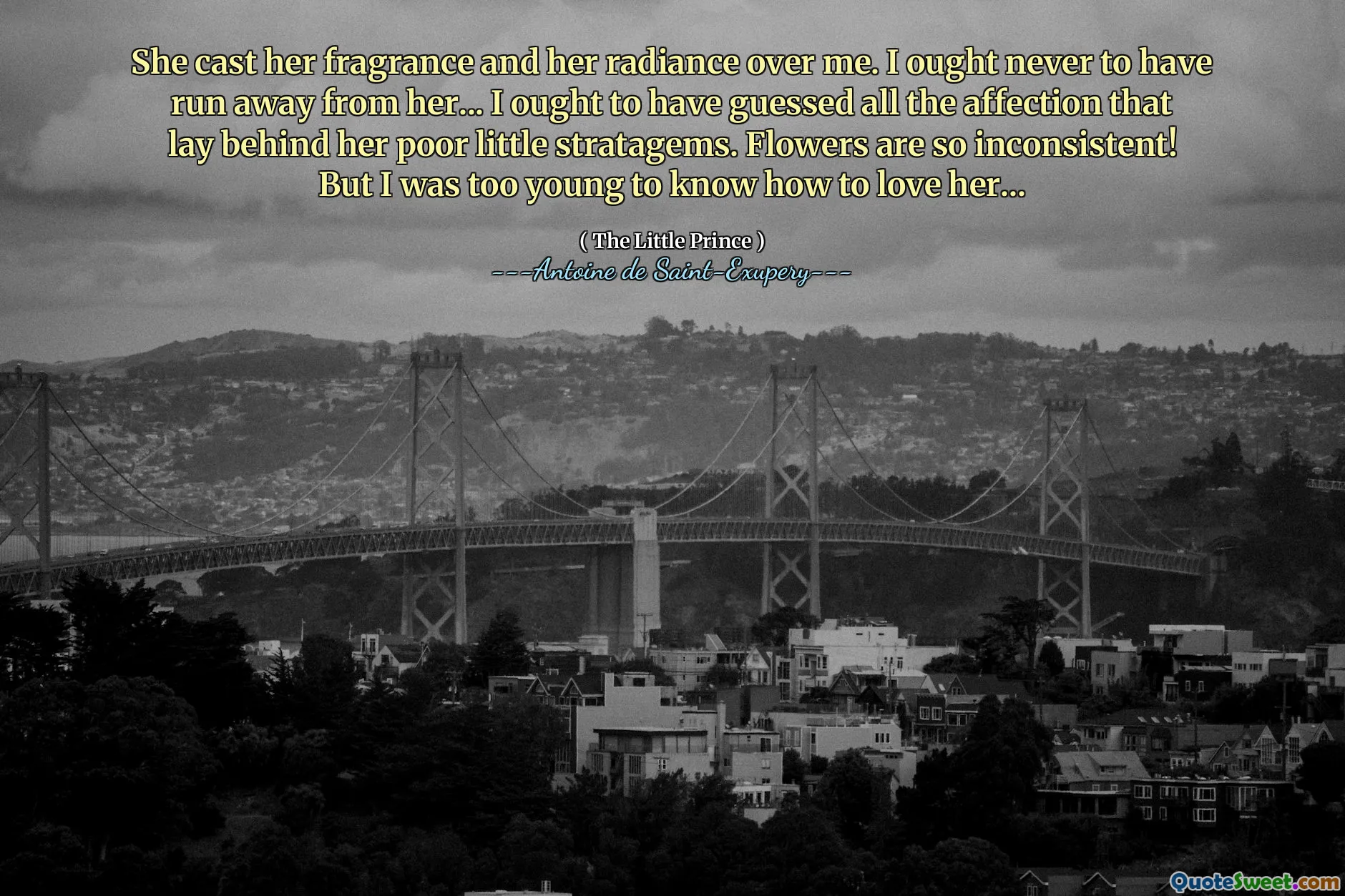 She cast her fragrance and her radiance over me. I ought never to have run away from her... I ought to have guessed all the affection that lay behind her poor little stratagems. Flowers are so inconsistent! But I was too young to know how to love her...