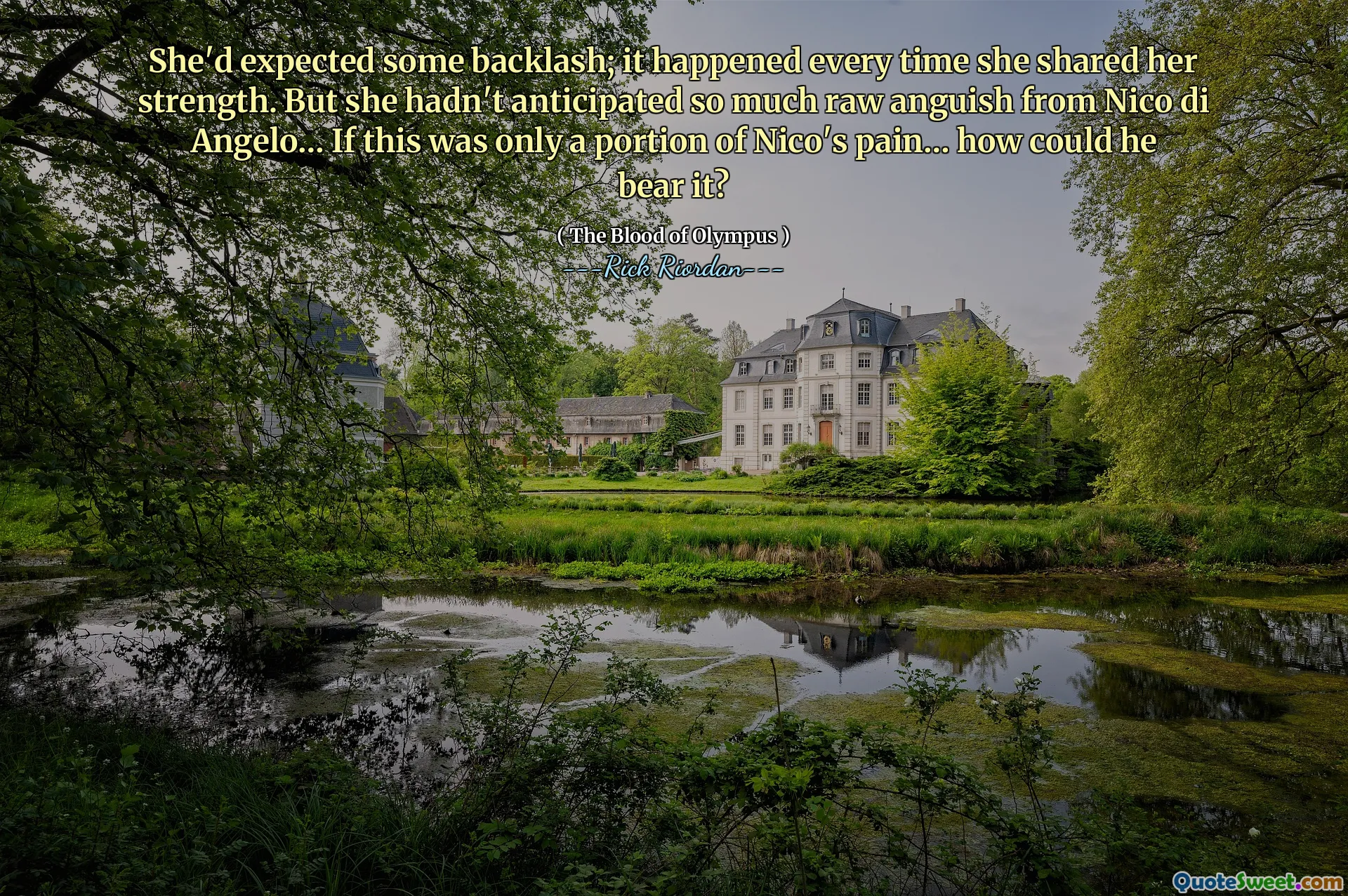 She'd expected some backlash; it happened every time she shared her strength. But she hadn't anticipated so much raw anguish from Nico di Angelo… If this was only a portion of Nico's pain… how could he bear it?