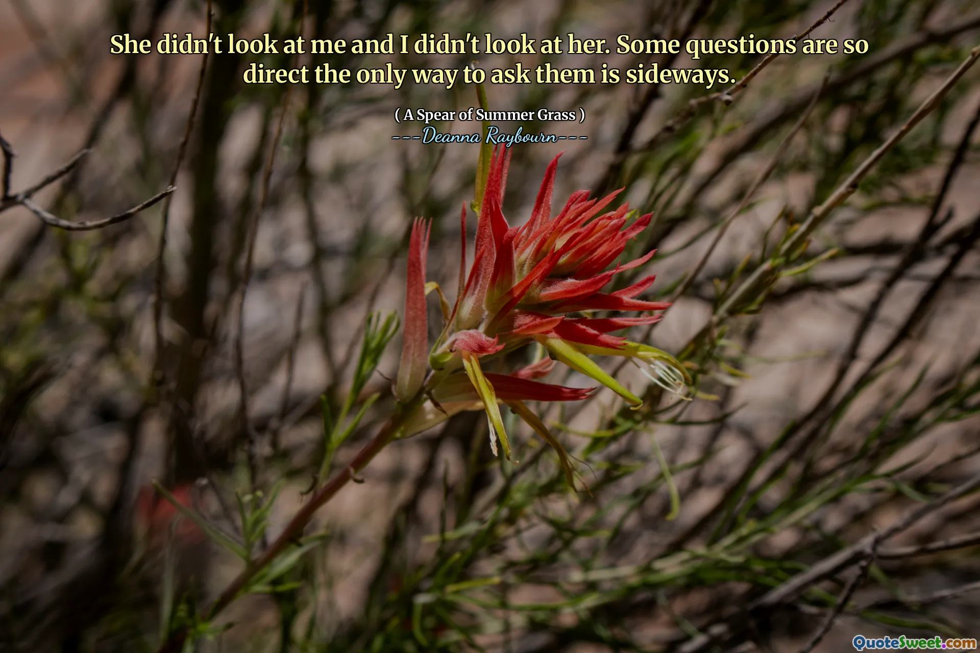 She didn't look at me and I didn't look at her. Some questions are so direct the only way to ask them is sideways.