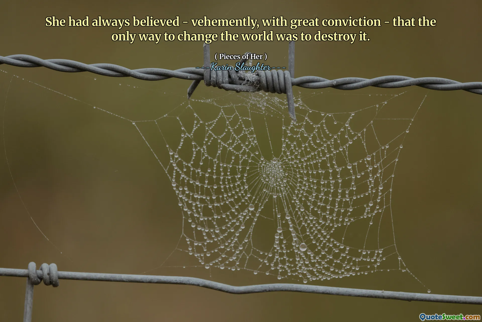 She had always believed - vehemently, with great conviction - that the only way to change the world was to destroy it.