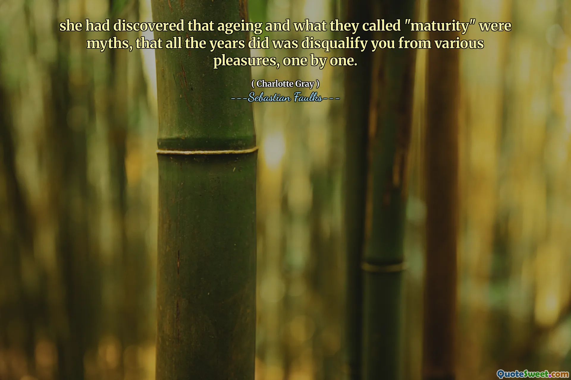 她发现衰老和他们所谓的“成熟”是神话，这些年来，所有年份都从一个一个享乐中取消了您的资格。