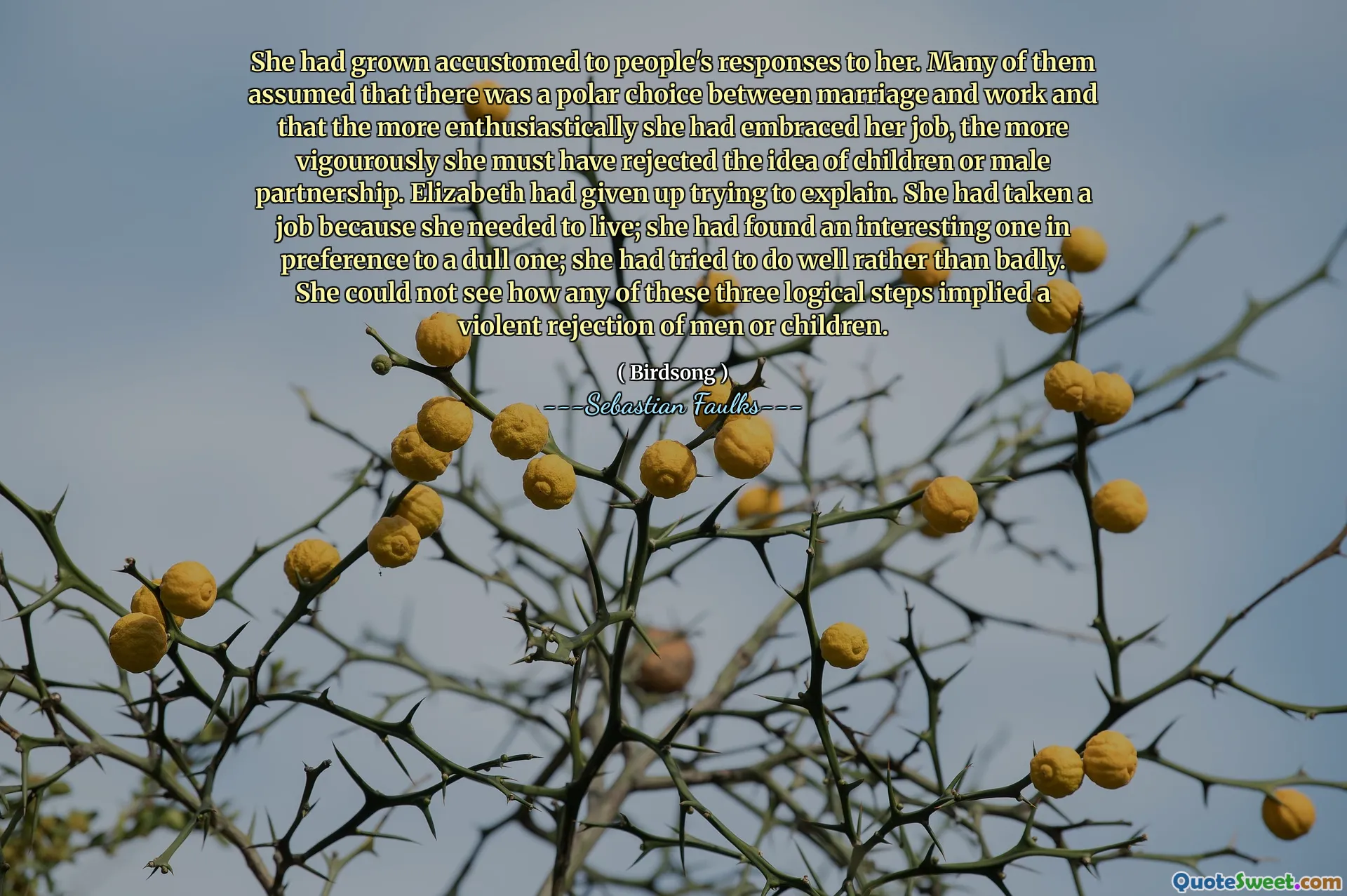 لقد اعتدت على ردود الناس عليها. افترض الكثير منهم أن هناك خيارًا قطبيًا بين الزواج والعمل وأنه كلما احتضنت وظيفتها بحماس ، كلما كانت قد رفضت فكرة الأطفال أو الشراكة الذكور. كانت إليزابيث قد تخلى عن محاولة شرحها. كانت قد شغلت وظيفة لأنها بحاجة للعيش. لقد وجدت واحدة مثيرة للاهتمام في تفضيلها إلى واحدة مملة. لقد حاولت أن تفعل بشكل جيد وليس بشكل سيء. لم تستطع أن ترى كيف تنطوي أي من هذه الخطوات المنطقية الثلاث على رفض عنيف للرجال أو الأطفال.