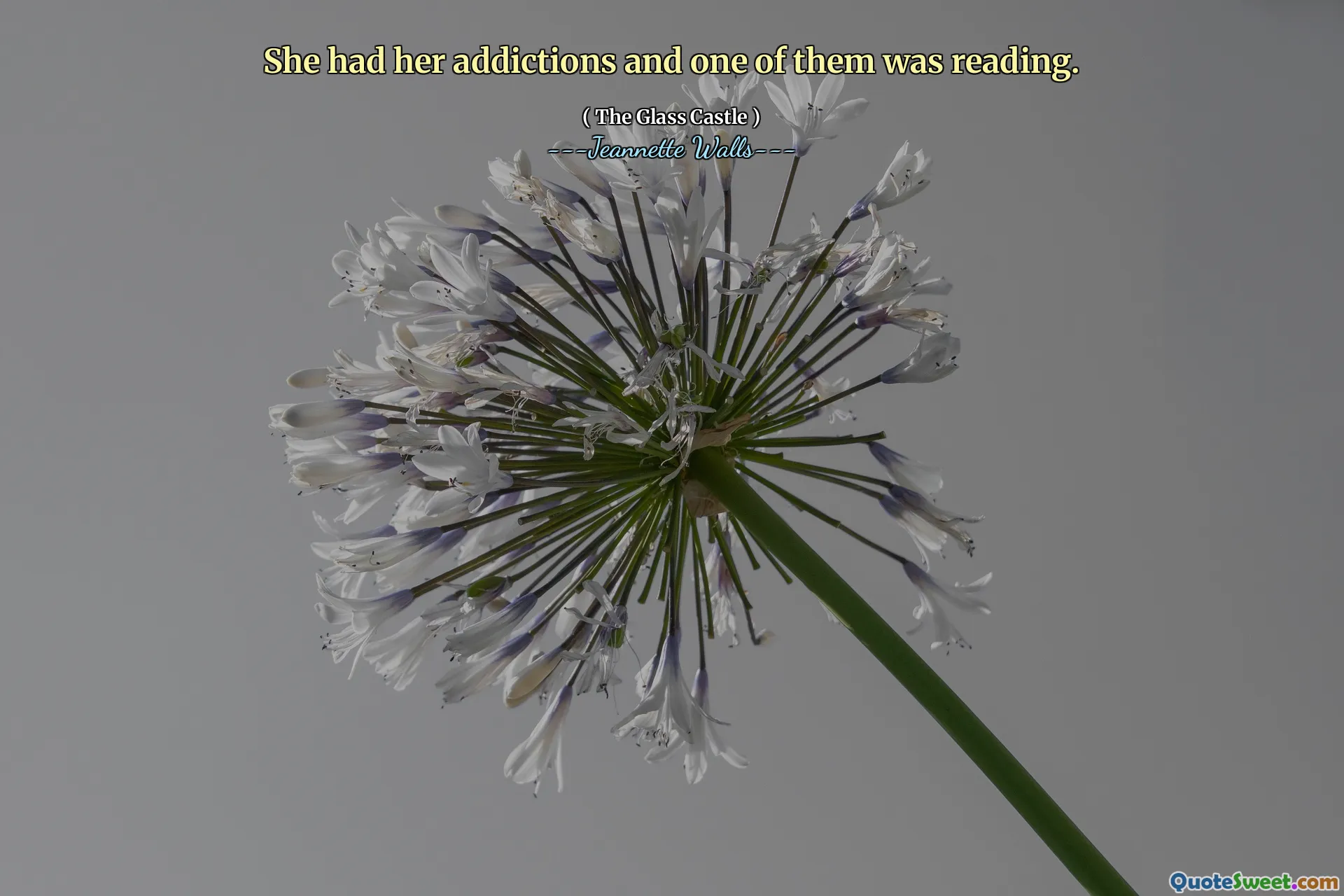 She had her addictions and one of them was reading.