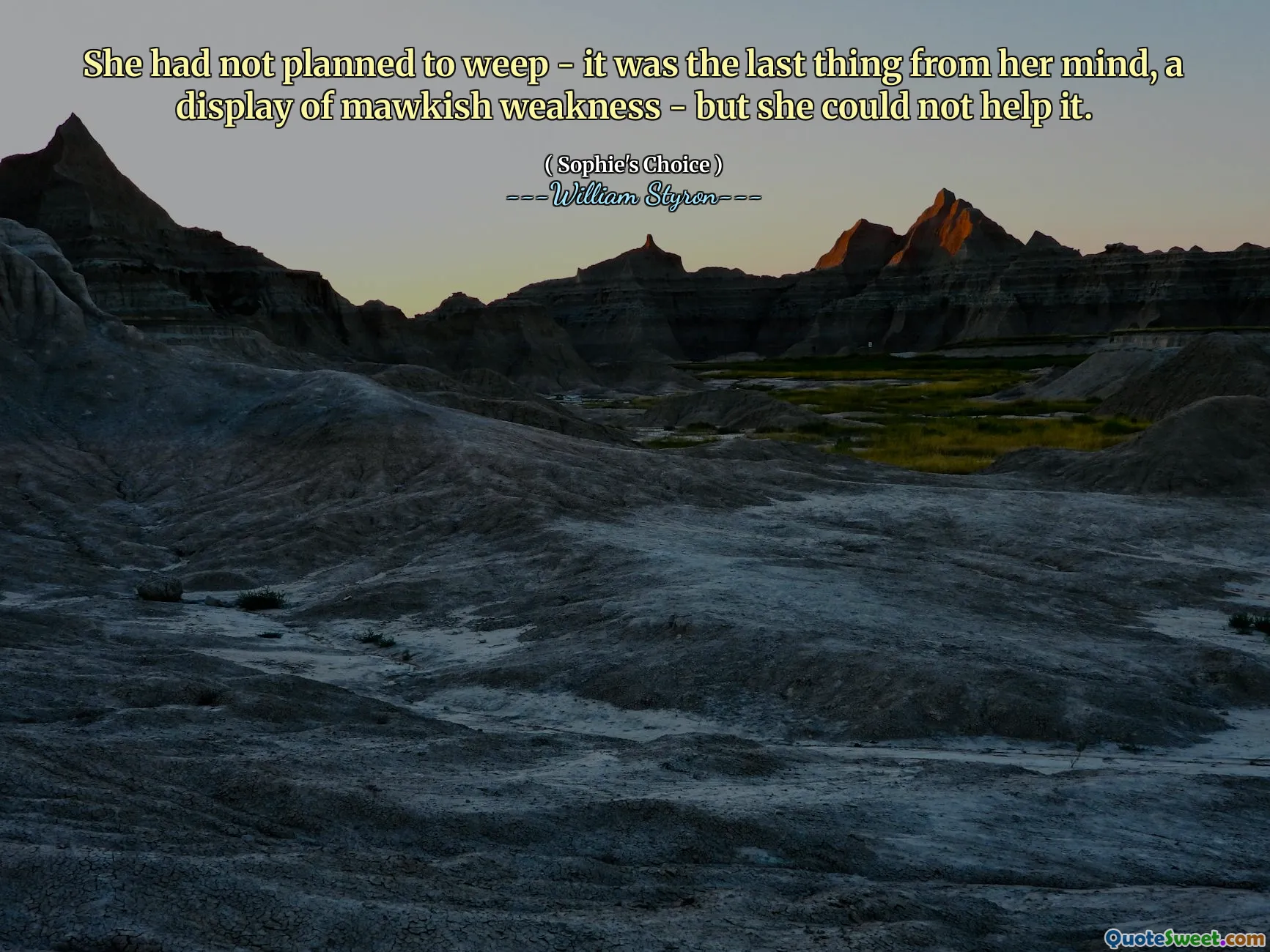 She had not planned to weep - it was the last thing from her mind, a display of mawkish weakness - but she could not help it.