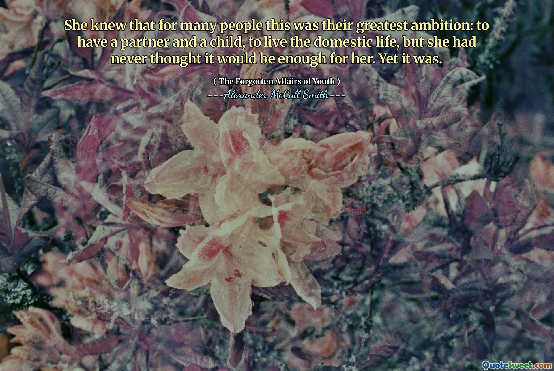 Hun visste at for mange mennesker var dette deres største ambisjon: å ha en partner og et barn, å leve det hjemlige livet, men hun hadde aldri trodd at det ville være nok for henne. Likevel var det.