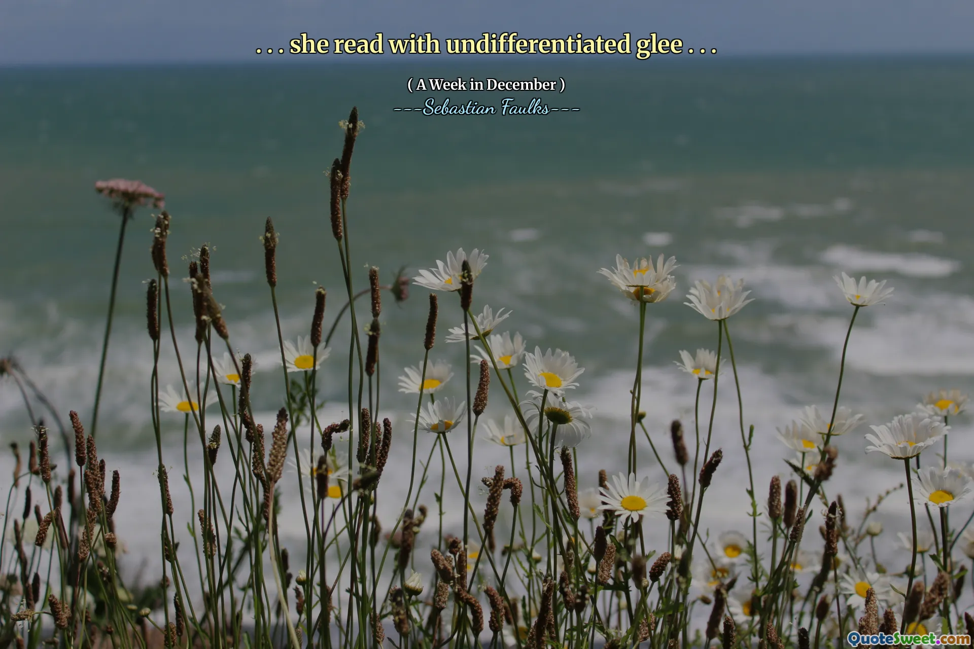 。 。 。她读着没有分化的欢乐。 。 。