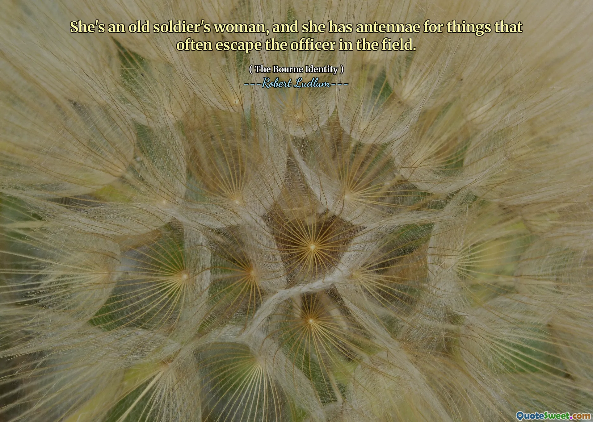 她是一个老士兵的女人，她的事物经常逃脱野外军官。