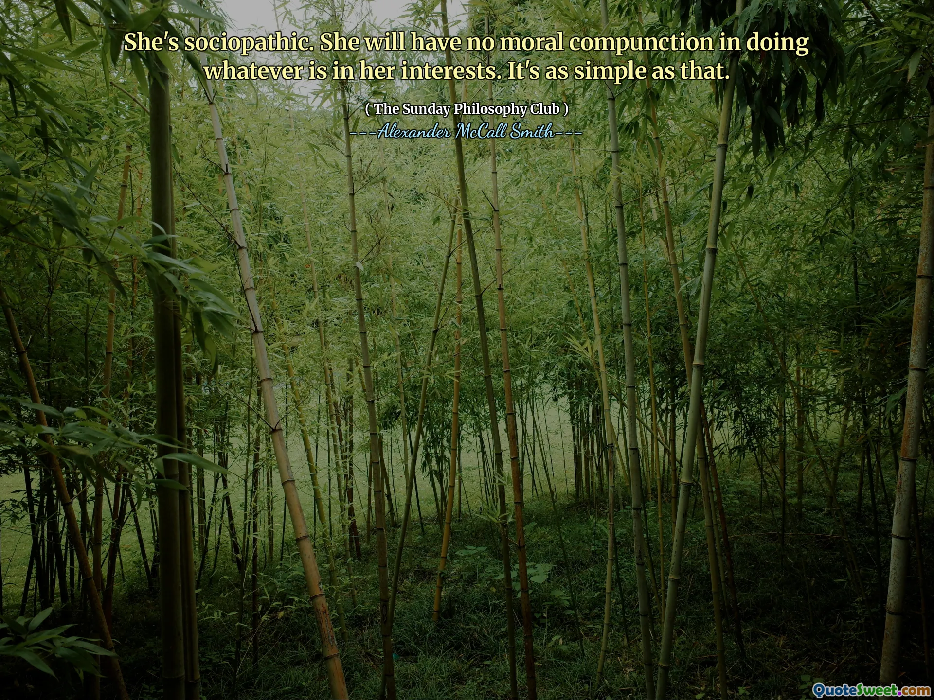 她是社会疗法。她在做符合她的利益的任何事情上都不会有道德上的责任。就像那样简单。