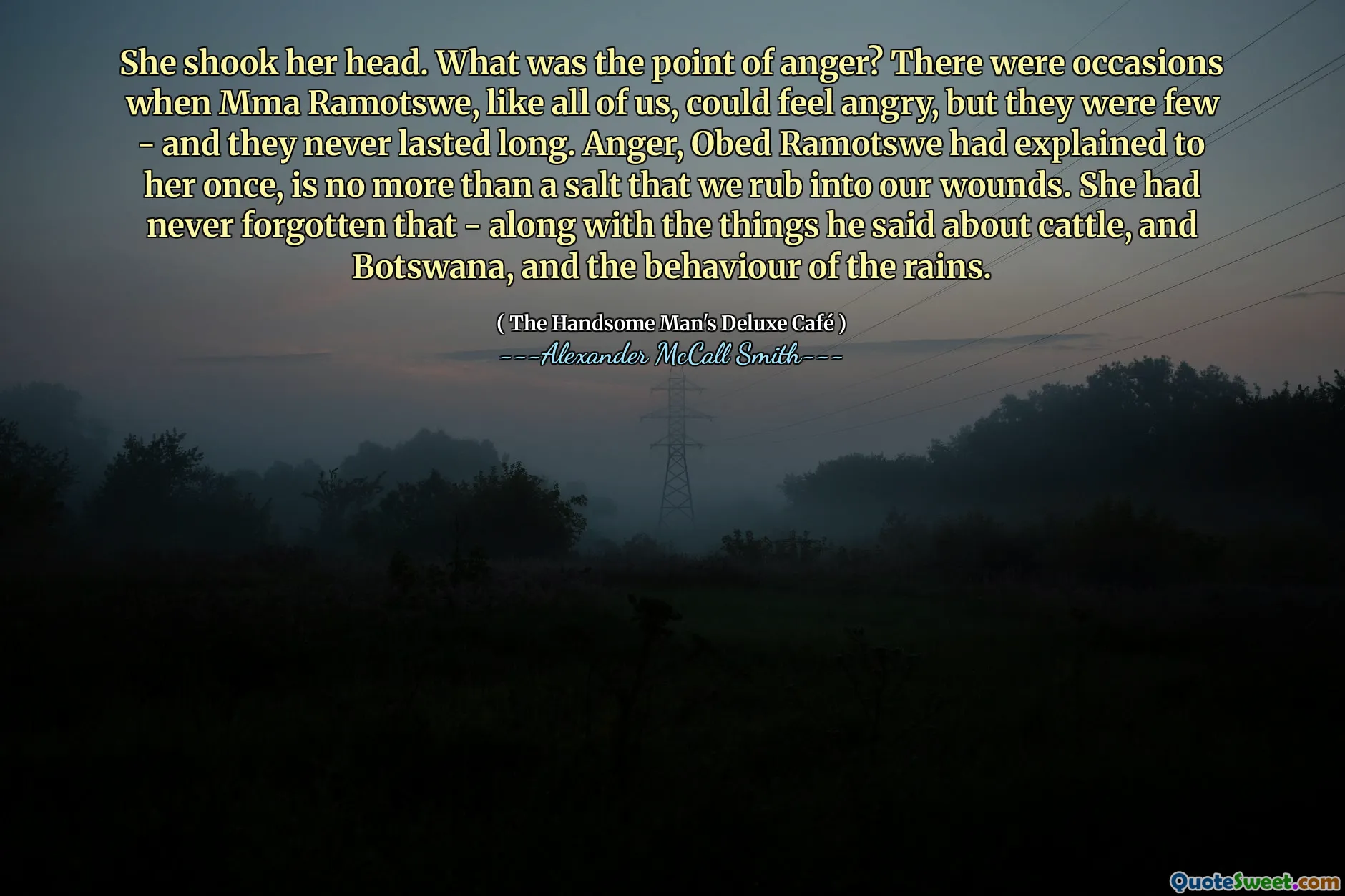 She shook her head. What was the point of anger? There were occasions when Mma Ramotswe, like all of us, could feel angry, but they were few - and they never lasted long. Anger, Obed Ramotswe had explained to her once, is no more than a salt that we rub into our wounds. She had never forgotten that - along with the things he said about cattle, and Botswana, and the behaviour of the rains.