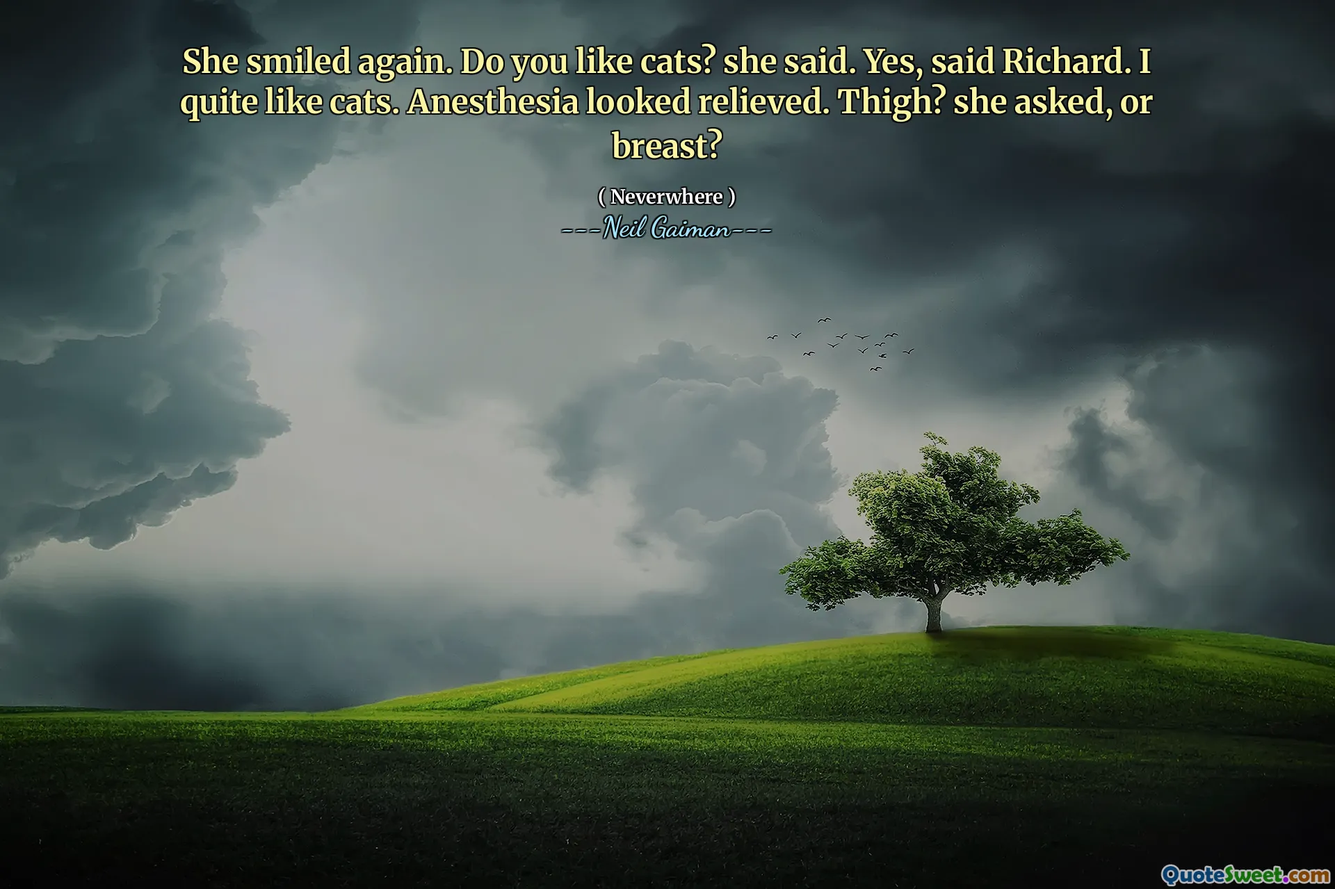 She smiled again. Do you like cats? she said. Yes, said Richard. I quite like cats. Anesthesia looked relieved. Thigh? she asked, or breast?
