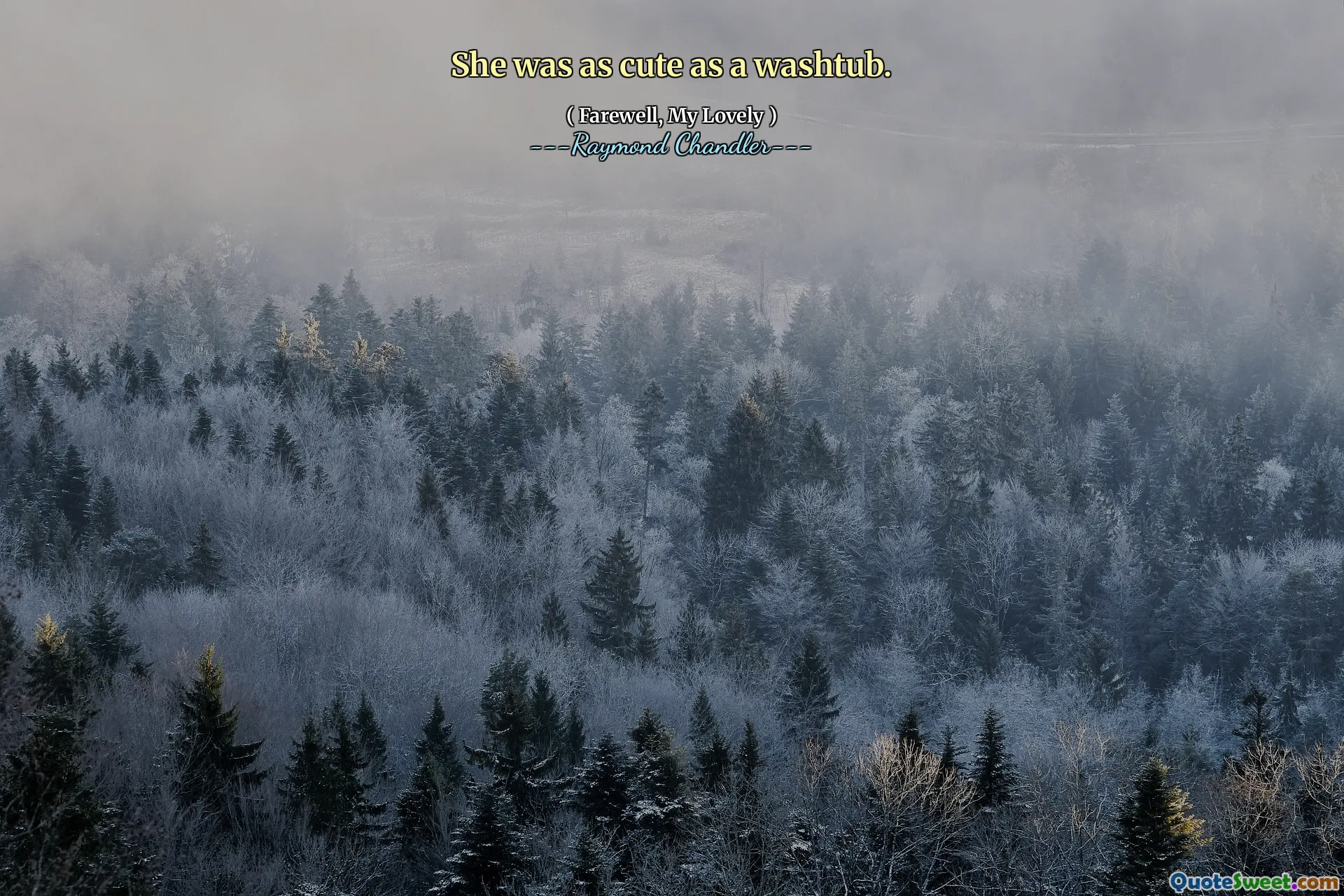 She was as cute as a washtub.