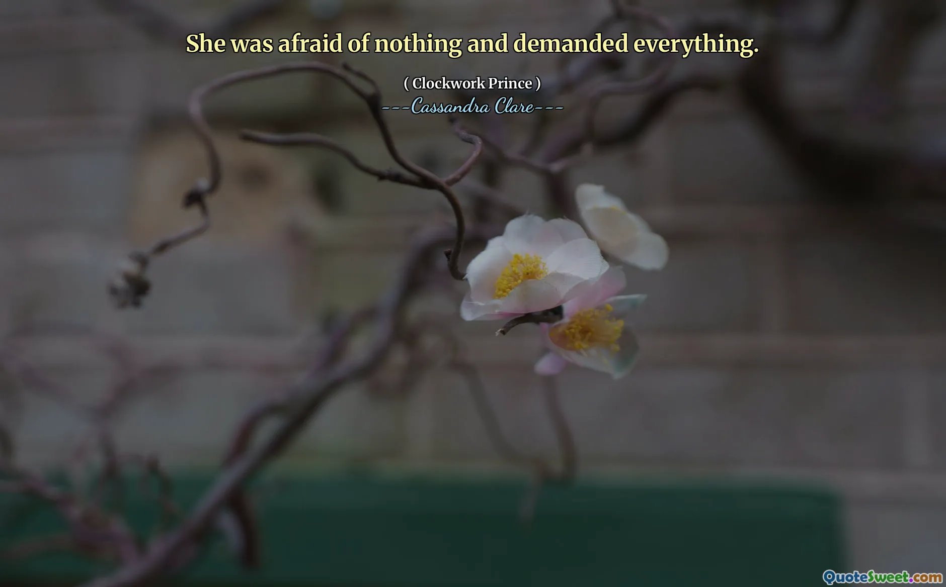 She was afraid of nothing and demanded everything.