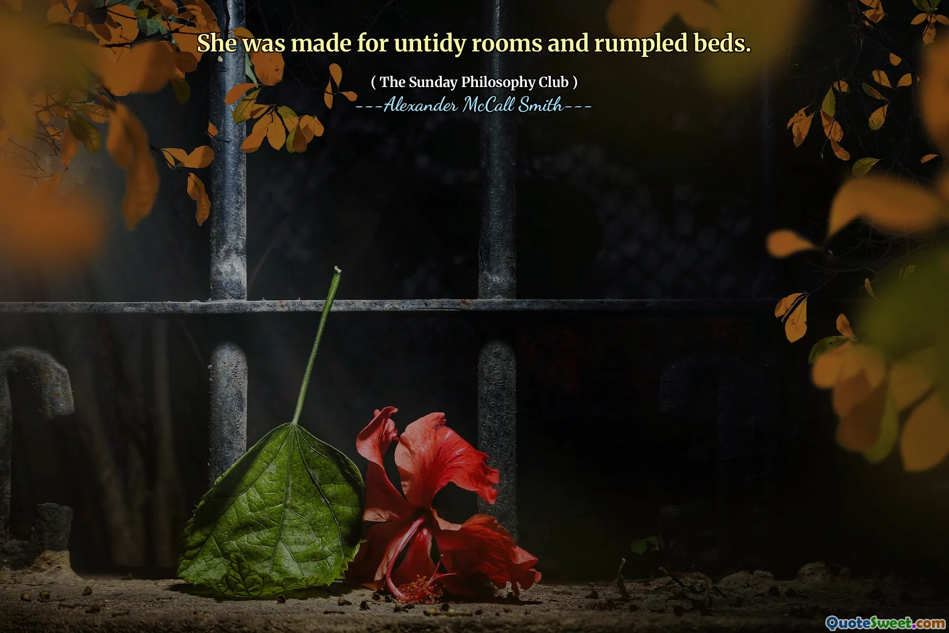 她是为不整洁的房间和皱巴巴的床而制造的。