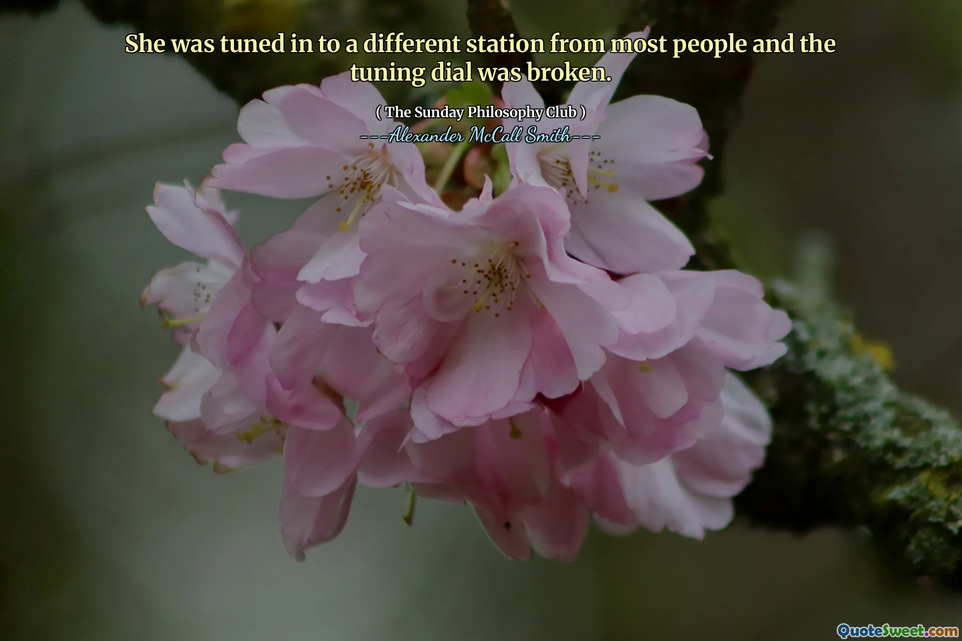 Sie war auf eine andere Station als die meisten Menschen eingestellt und das Tuning -Zifferblatt war gebrochen.