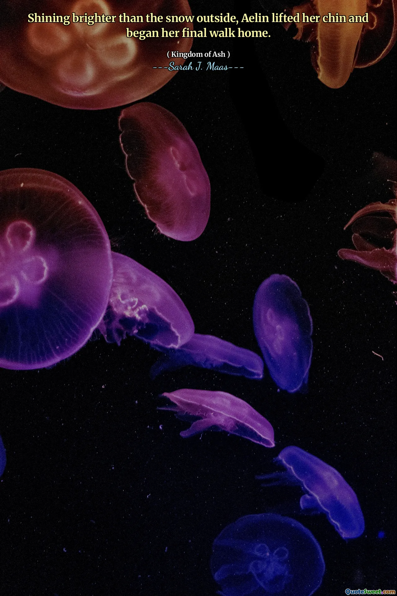 Shining brighter than the snow outside, Aelin lifted her chin and began her final walk home.