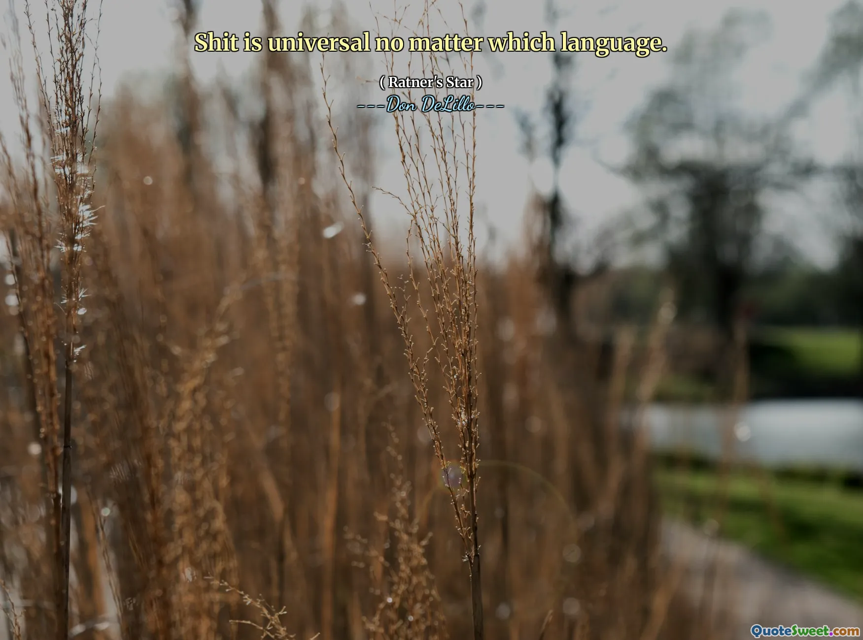 Shit is universal no matter which language.