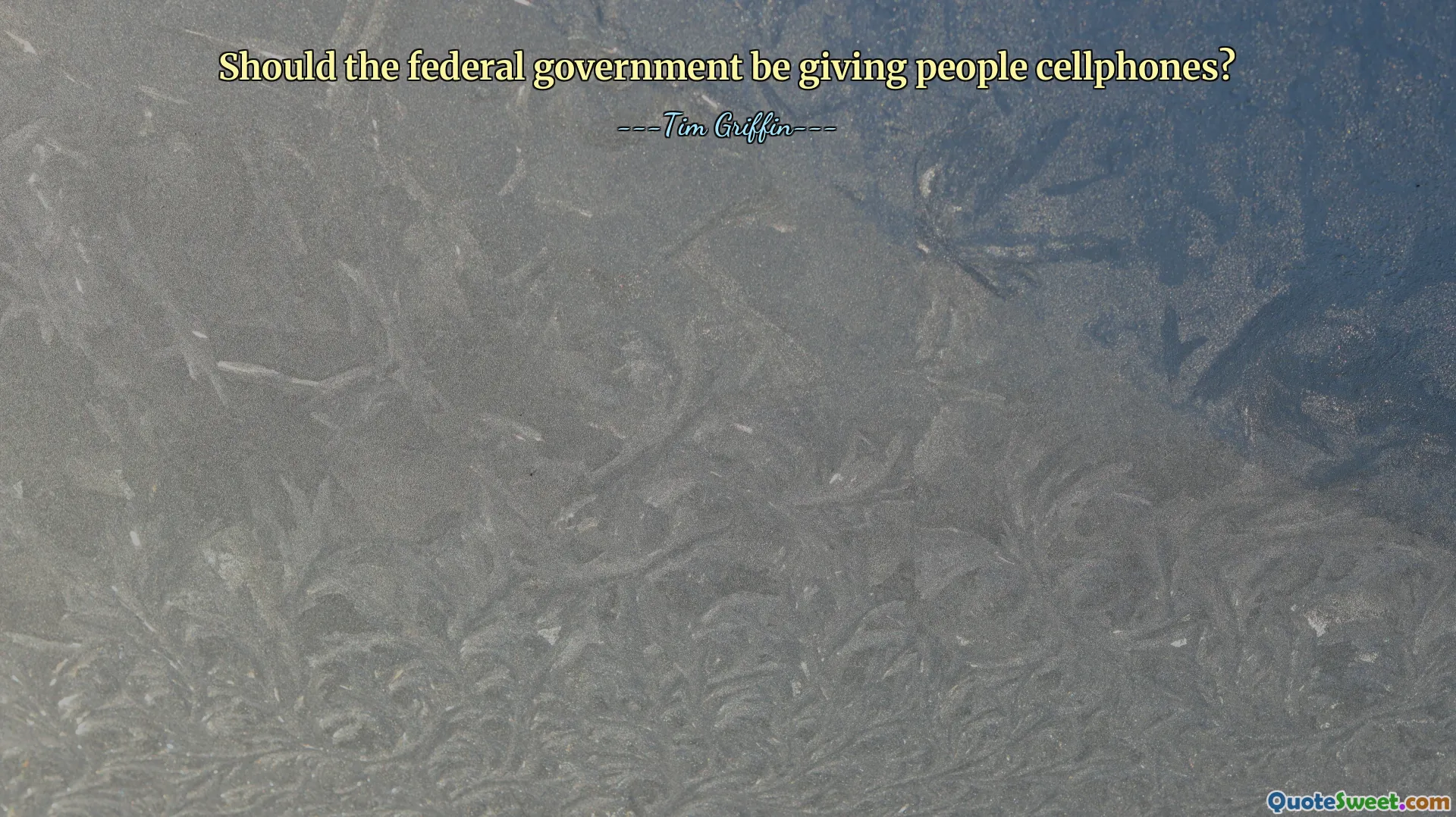 Should the federal government be giving people cellphones?