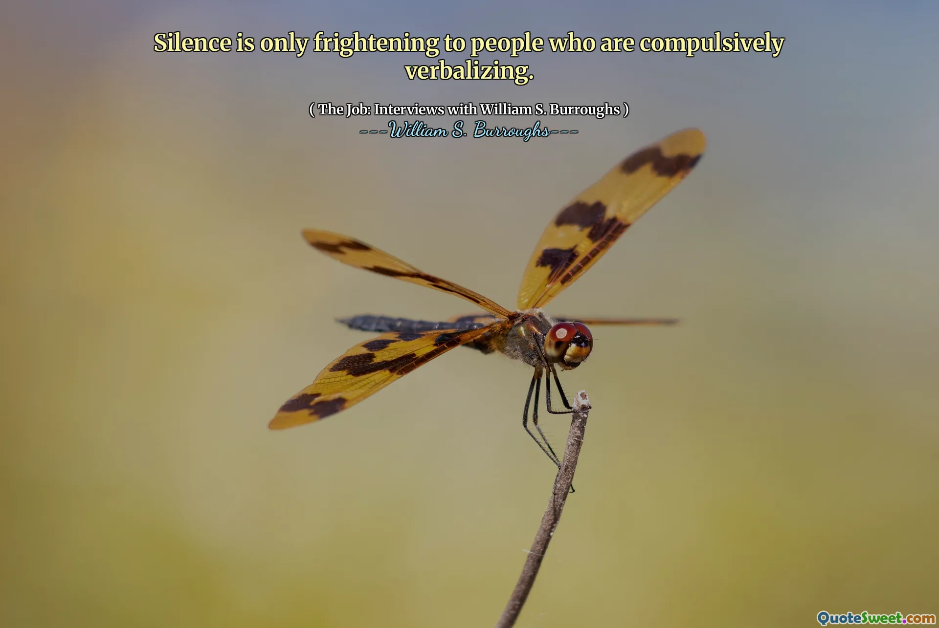 沉默只对那些强迫口头的人感到恐惧。