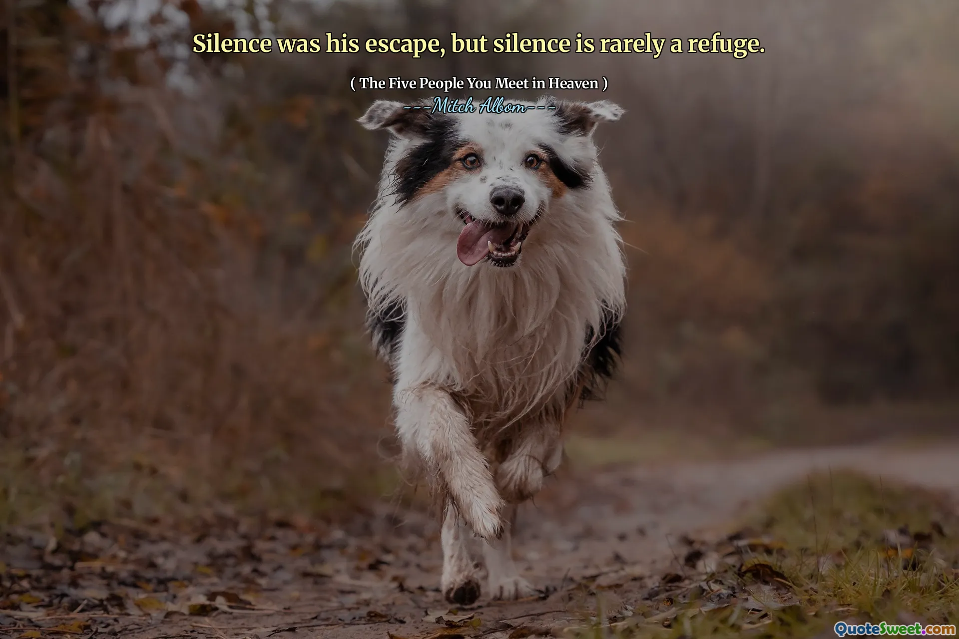 Silence was his escape, but silence is rarely a refuge.