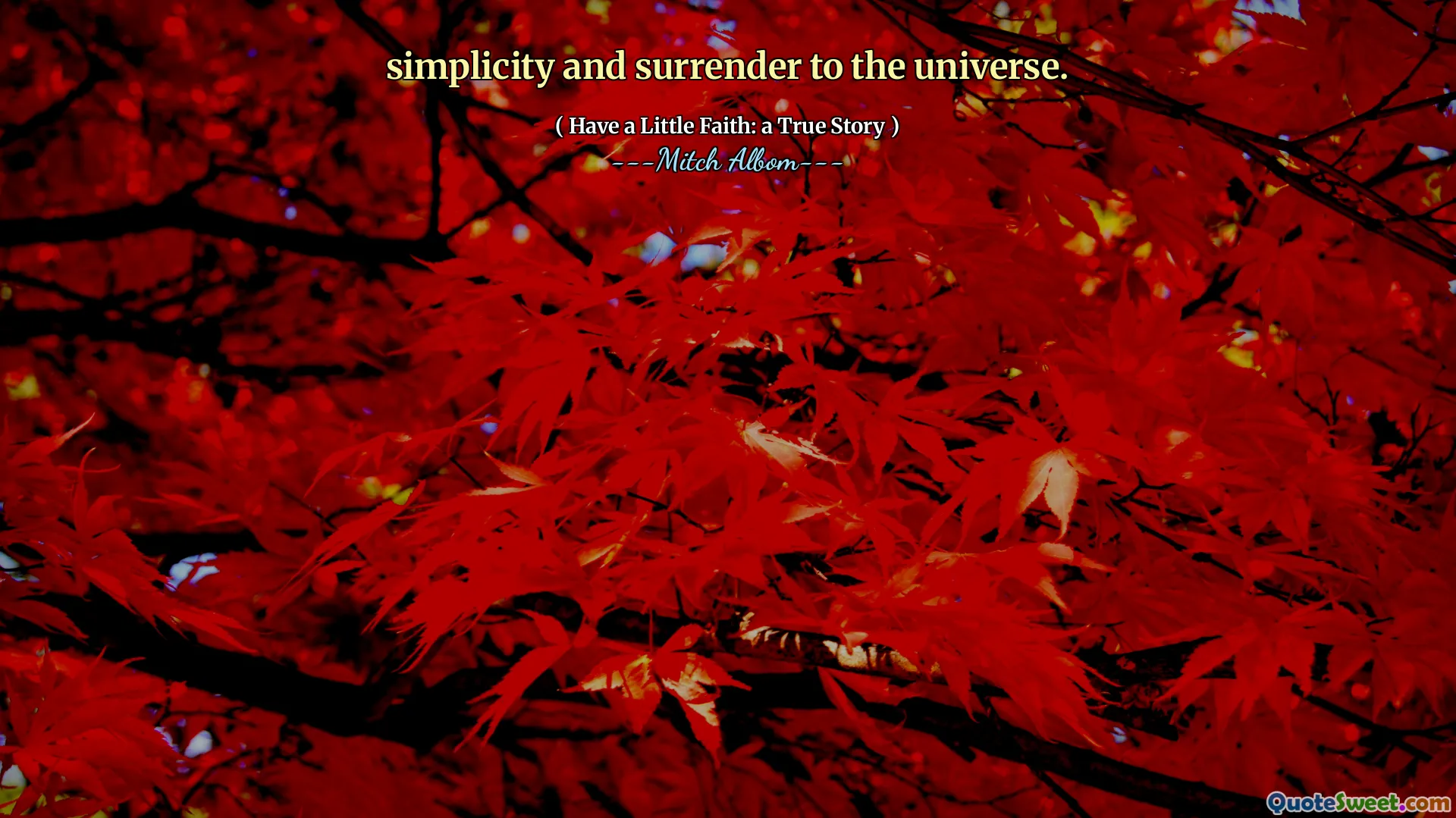 Einfachheit und Übergabe an das Universum.