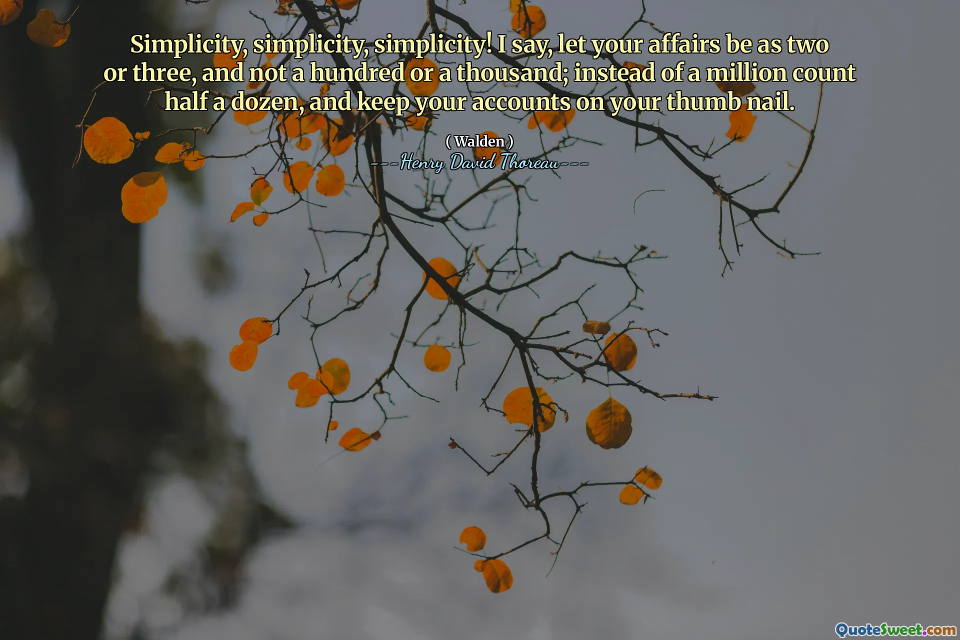 Simplicity, simplicity, simplicity! I say, let your affairs be as two or three, and not a hundred or a thousand; instead of a million count half a dozen, and keep your accounts on your thumb nail.