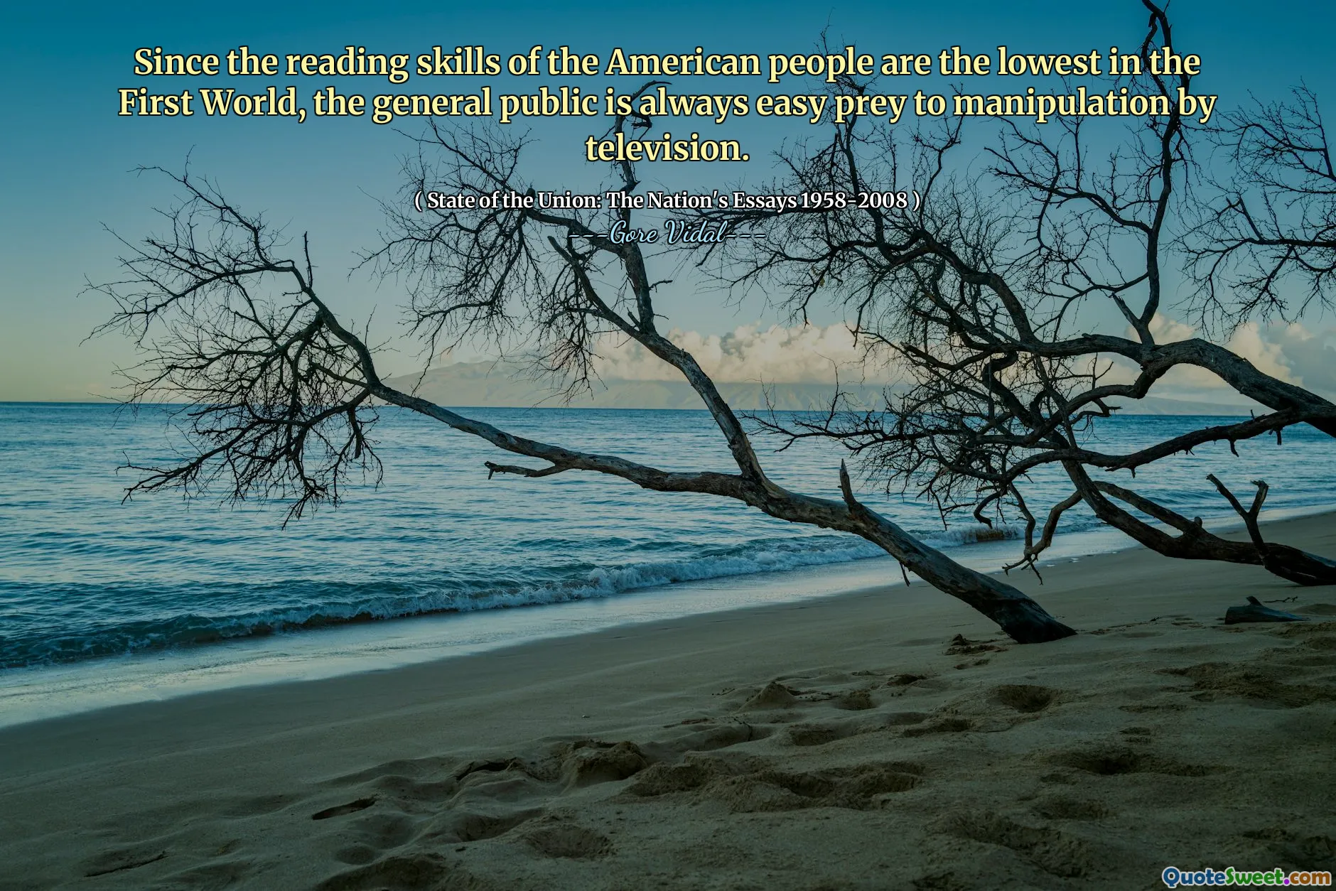 Since the reading skills of the American people are the lowest in the First World, the general public is always easy prey to manipulation by television.