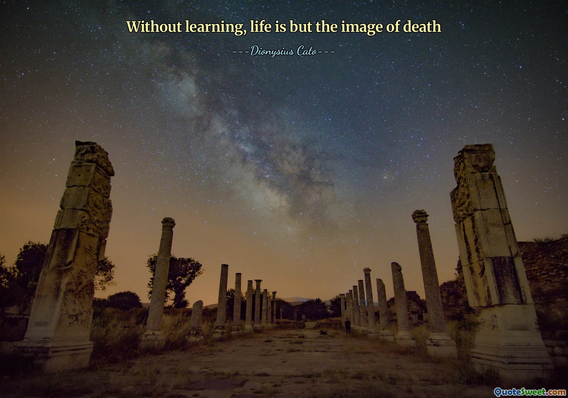 Without learning, life is but the image of death