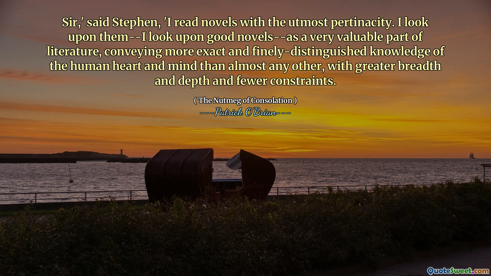 Sir,' said Stephen, 'I read novels with the utmost pertinacity. I look upon them--I look upon good novels--as a very valuable part of literature, conveying more exact and finely-distinguished knowledge of the human heart and mind than almost any other, with greater breadth and depth and fewer constraints.