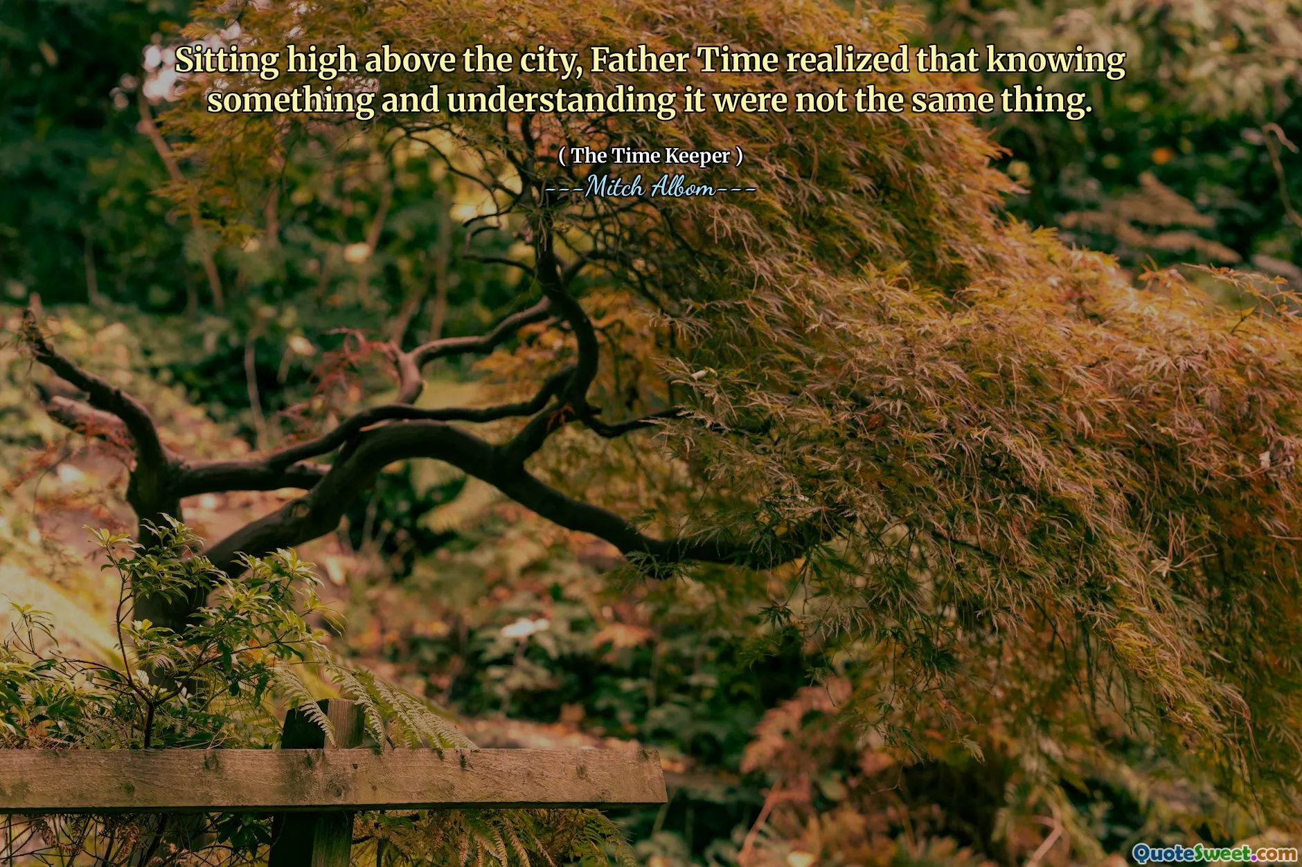 Duduk jauh di atas kota, Pastor Time menyadari bahwa mengetahui sesuatu dan memahaminya bukanlah hal yang sama.