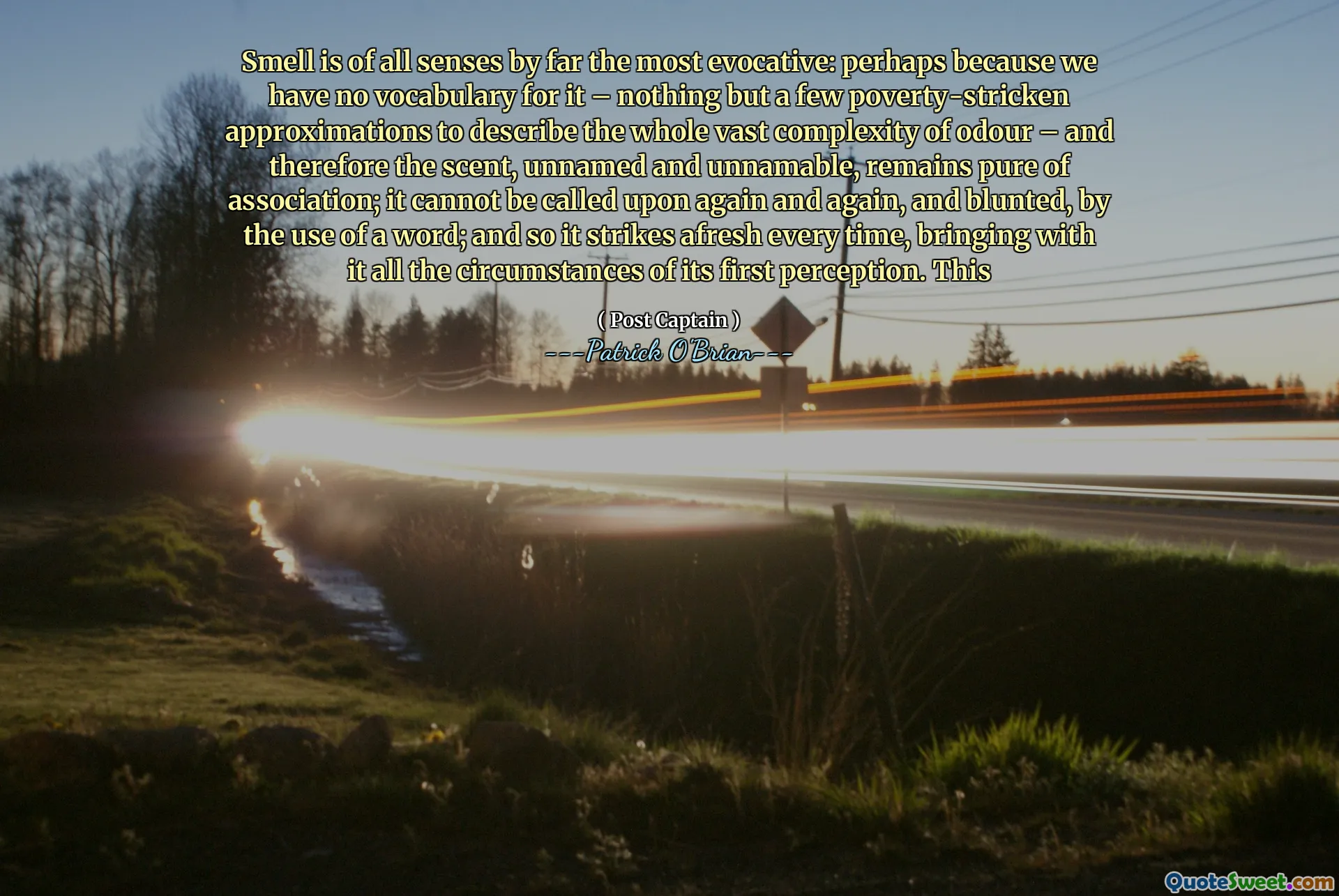 Smell is of all senses by far the most evocative: perhaps because we have no vocabulary for it – nothing but a few poverty-stricken approximations to describe the whole vast complexity of odour – and therefore the scent, unnamed and unnamable, remains pure of association; it cannot be called upon again and again, and blunted, by the use of a word; and so it strikes afresh every time, bringing with it all the circumstances of its first perception. This