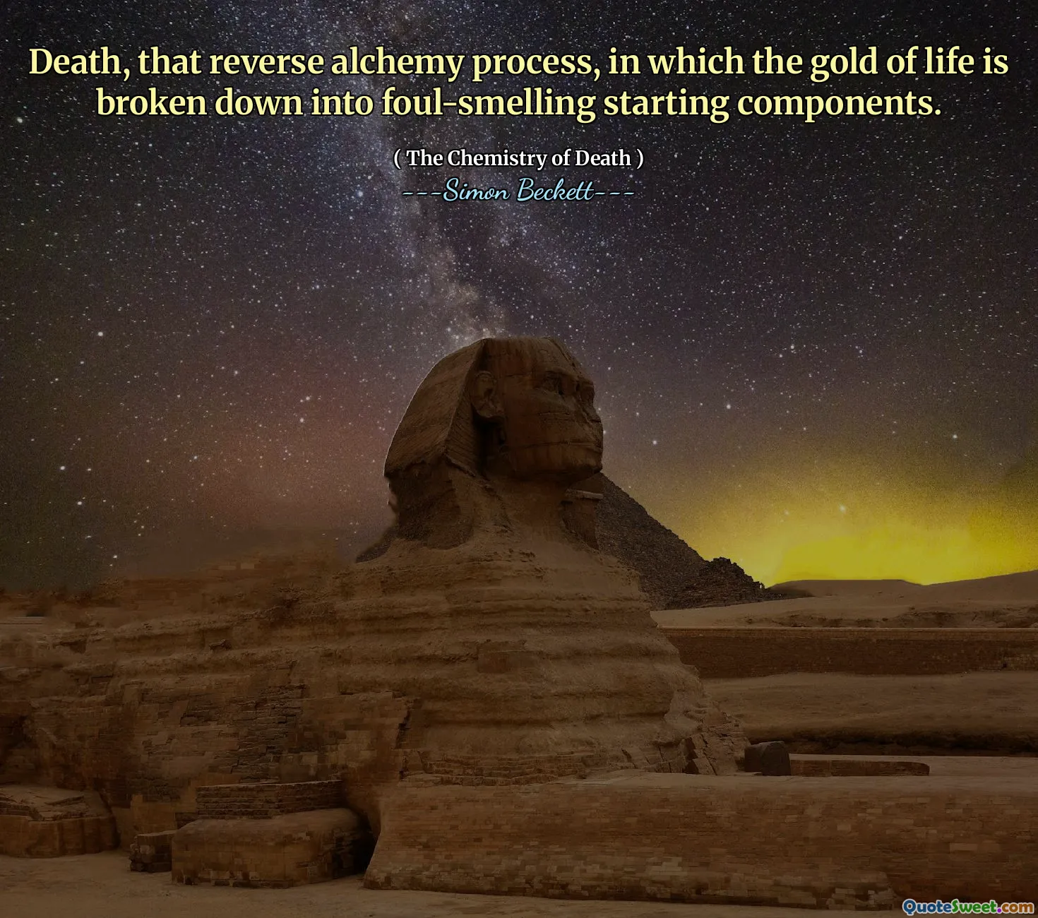 Death, that reverse alchemy process, in which the gold of life is broken down into foul-smelling starting components.