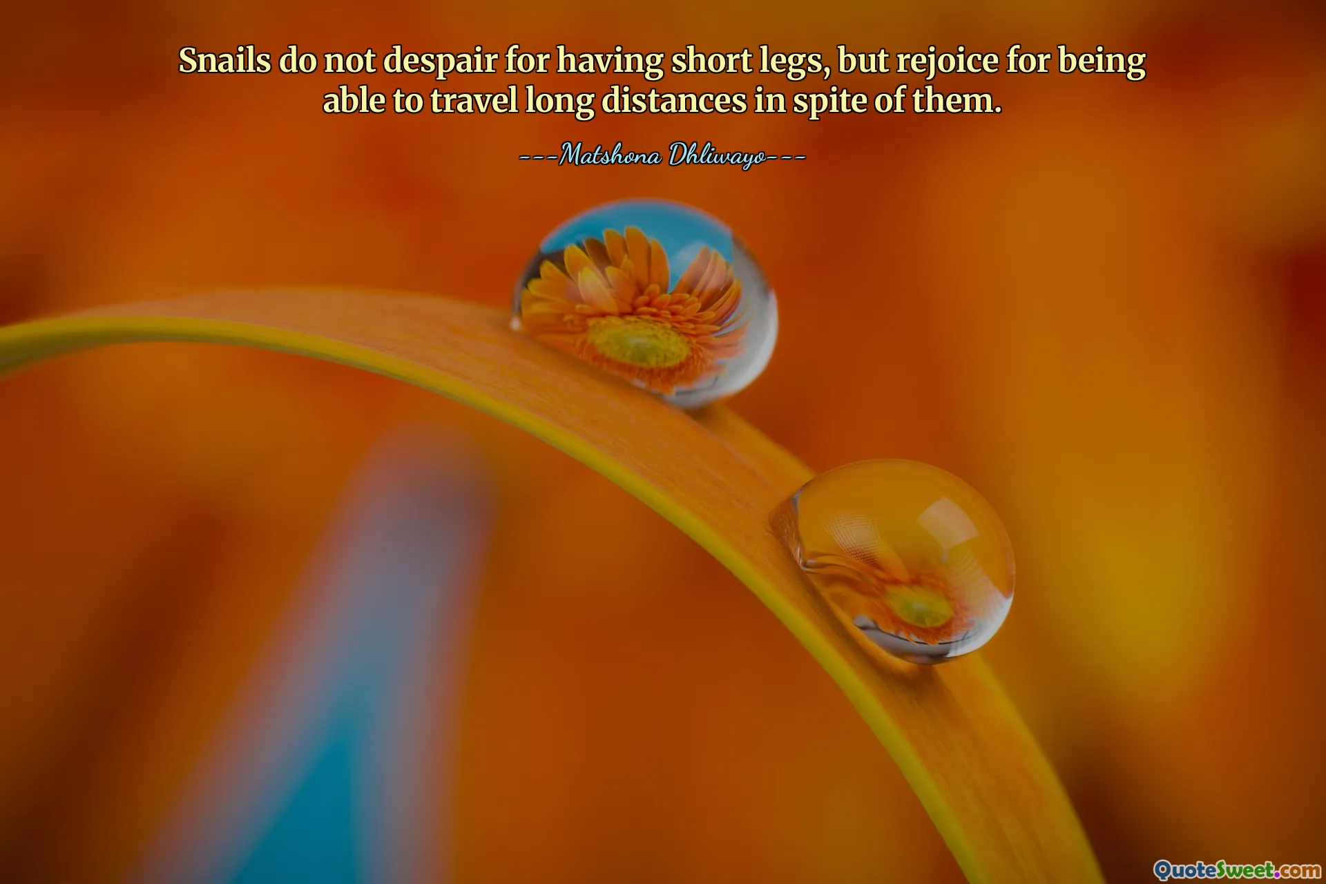 Snails do not despair for having short legs, but rejoice for being able to travel long distances in spite of them.