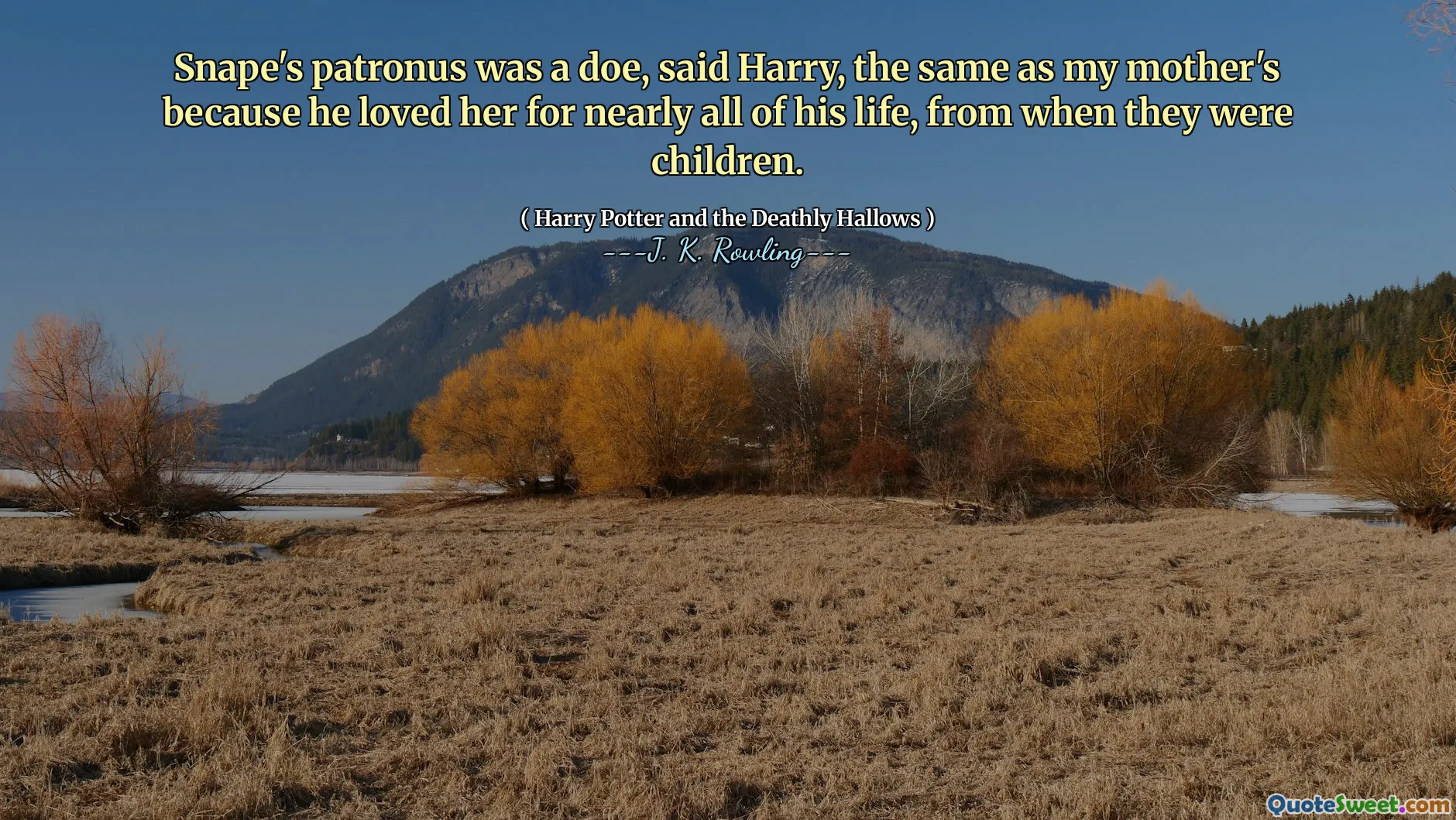 Snape's patronus was a doe, said Harry, the same as my mother's because he loved her for nearly all of his life, from when they were children.