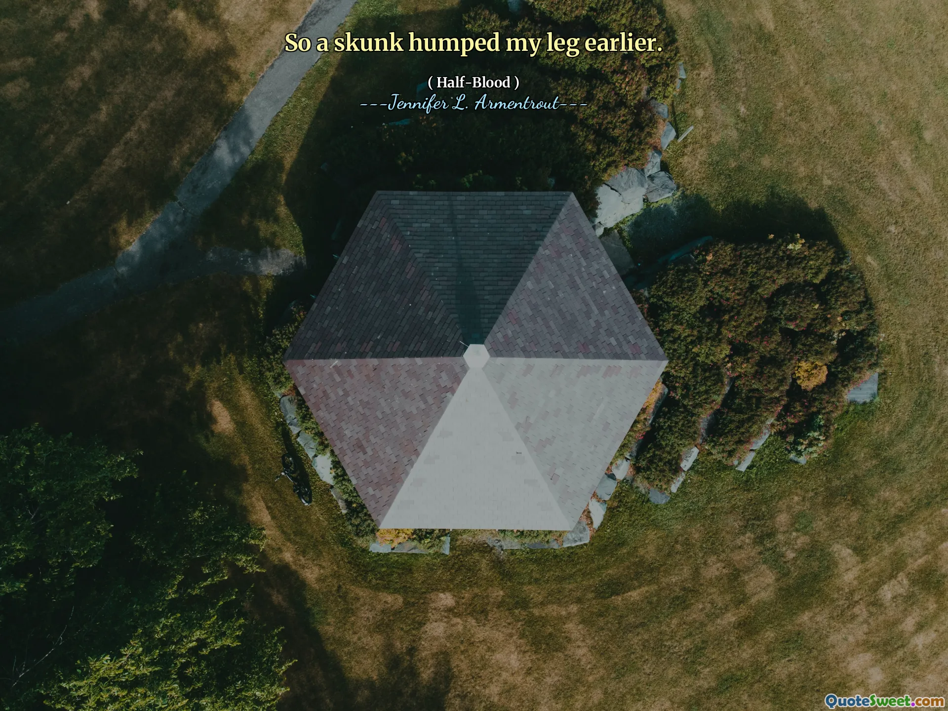 So a skunk humped my leg earlier.