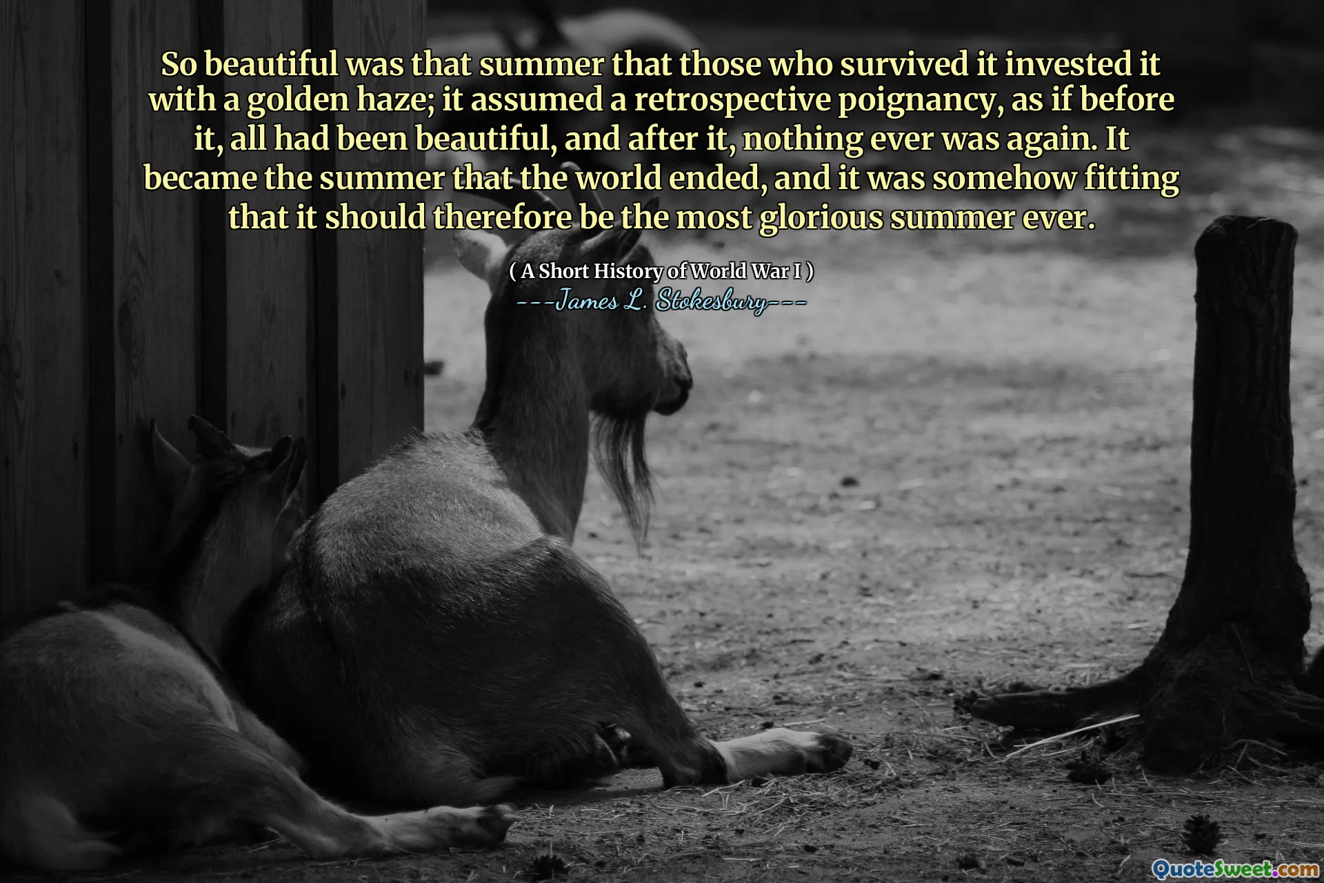 So beautiful was that summer that those who survived it invested it with a golden haze; it assumed a retrospective poignancy, as if before it, all had been beautiful, and after it, nothing ever was again. It became the summer that the world ended, and it was somehow fitting that it should therefore be the most glorious summer ever.